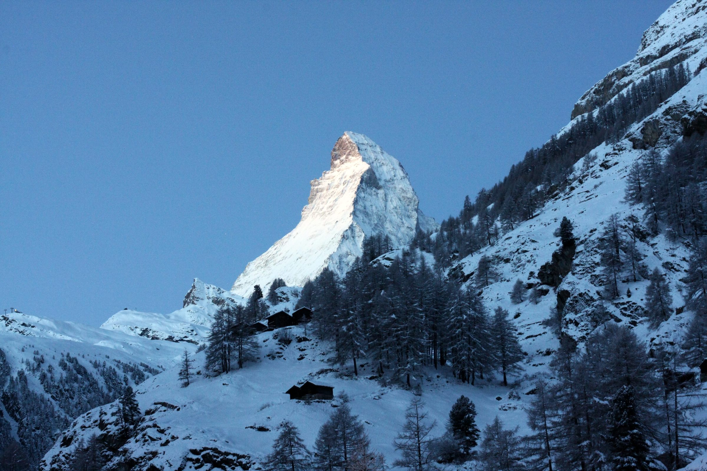 Matterhorn-like peak glowing above snowy pines against blue sky.