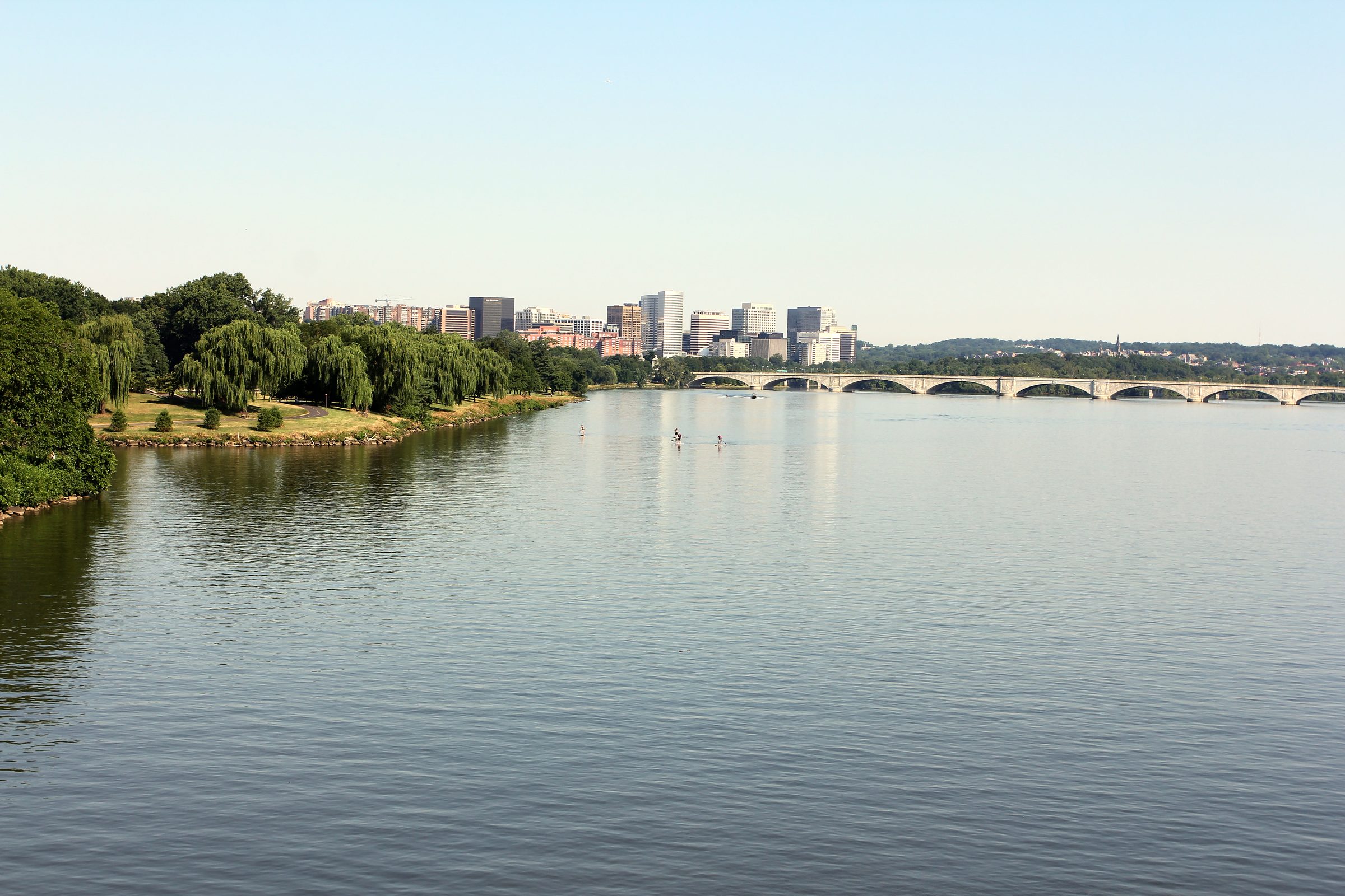 Willow-lined Potomac with Key Bridge and skyline in soft distance.