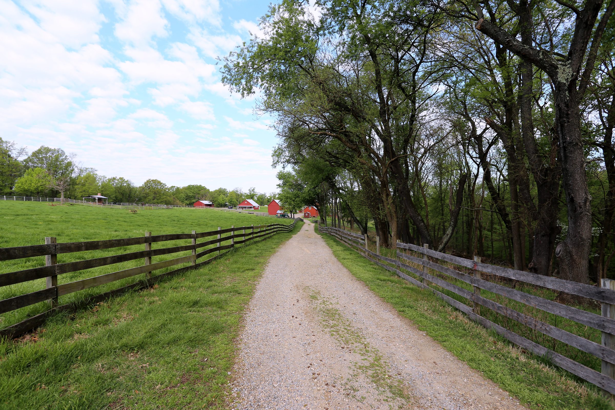 Gravel lane past a wooden fence toward distant red farm buildings.