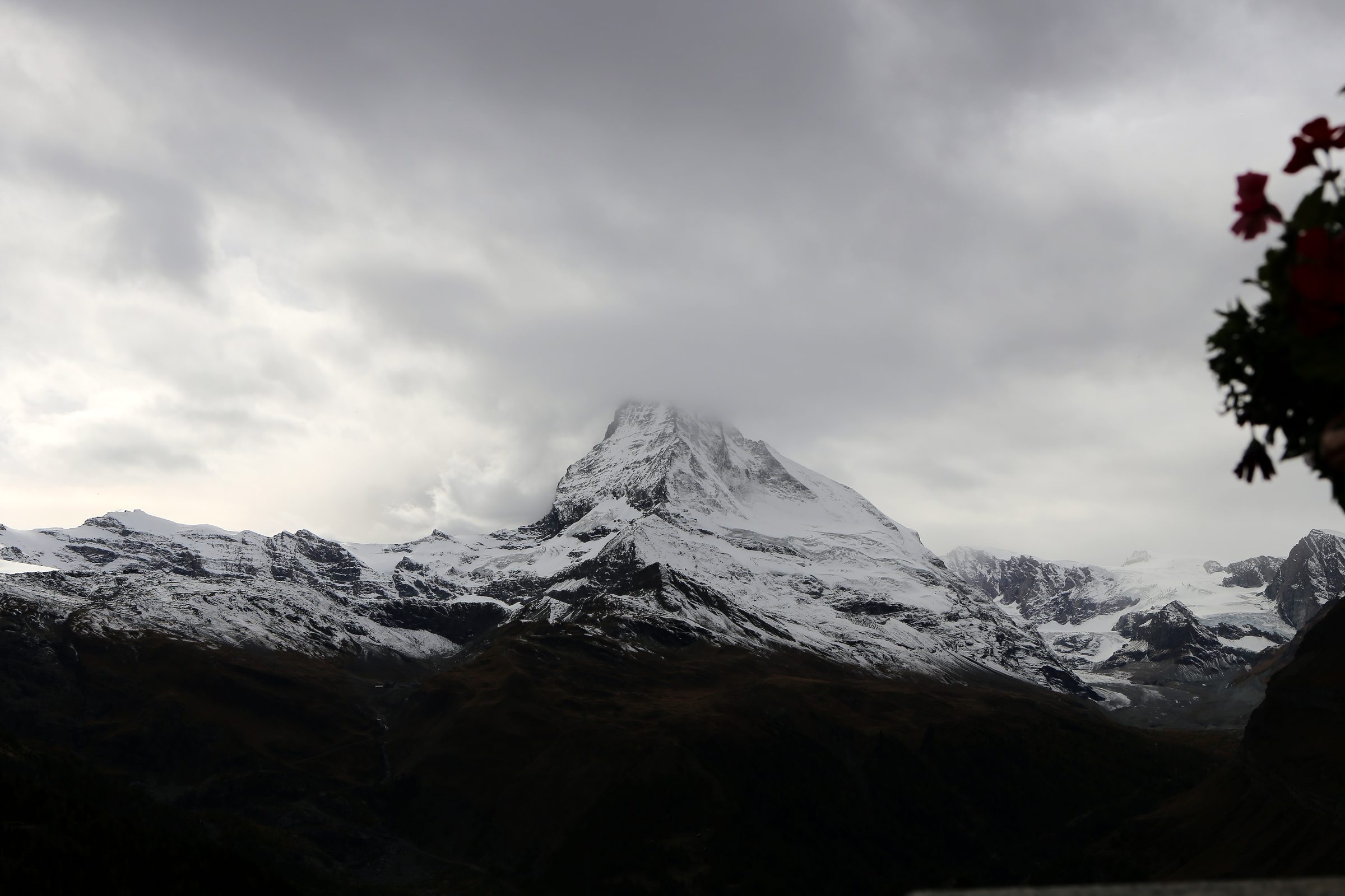 Overcast alpine ridge with dark foliage at the frame edge.