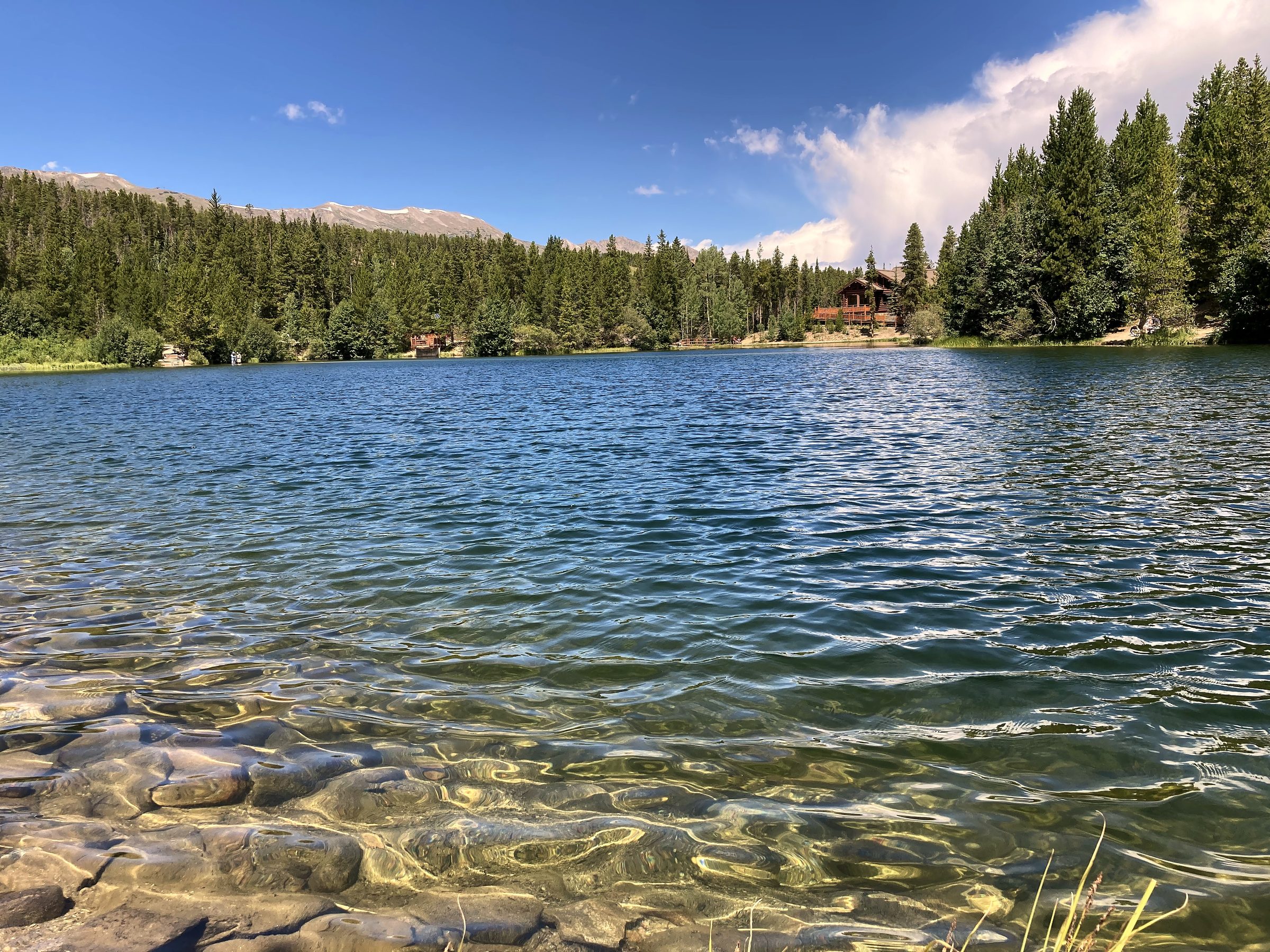 Clear alpine lake with pebbled shore and evergreen ring.