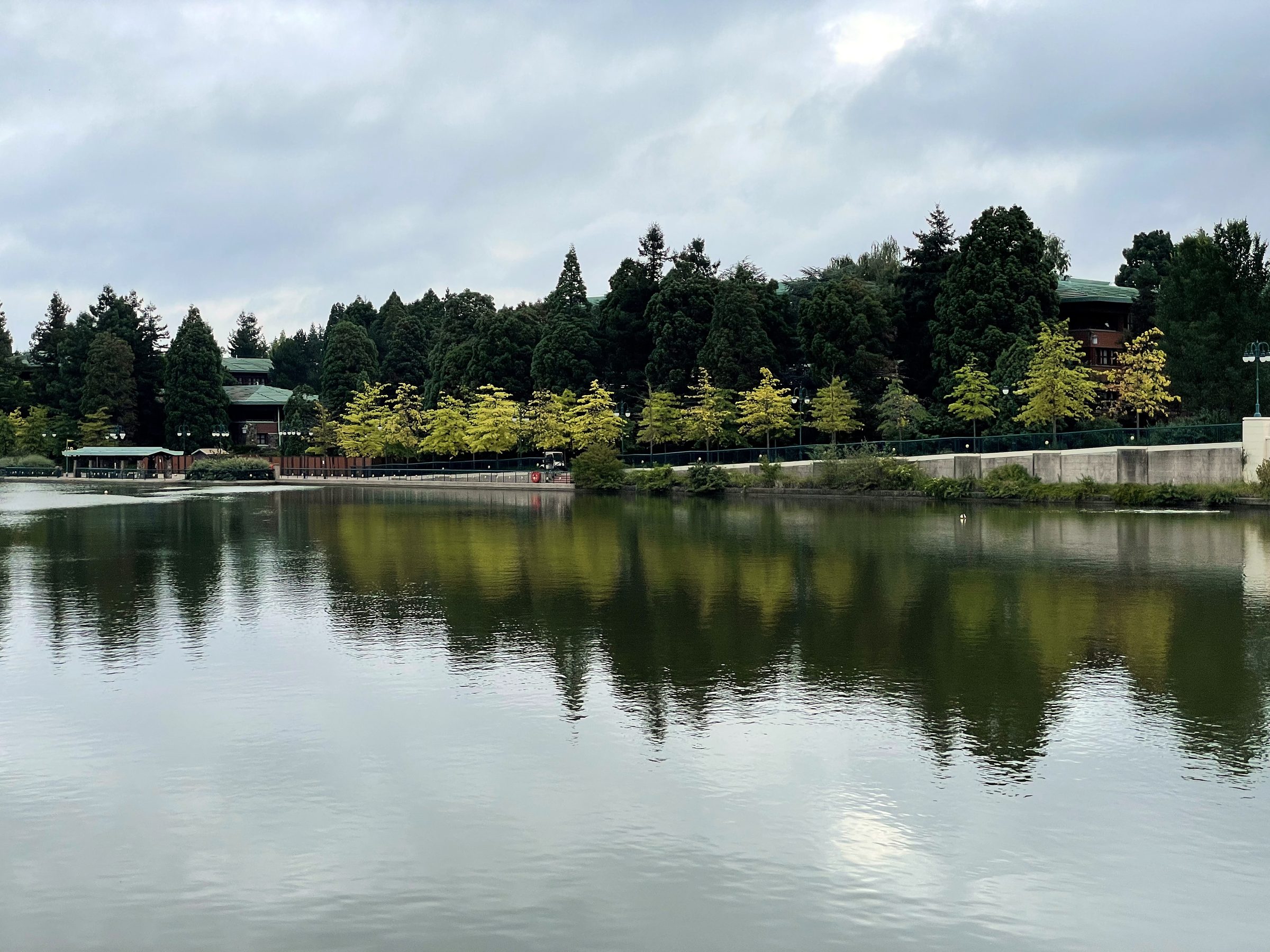 Calm lake reflecting a chartreuse line of evergreen trees.