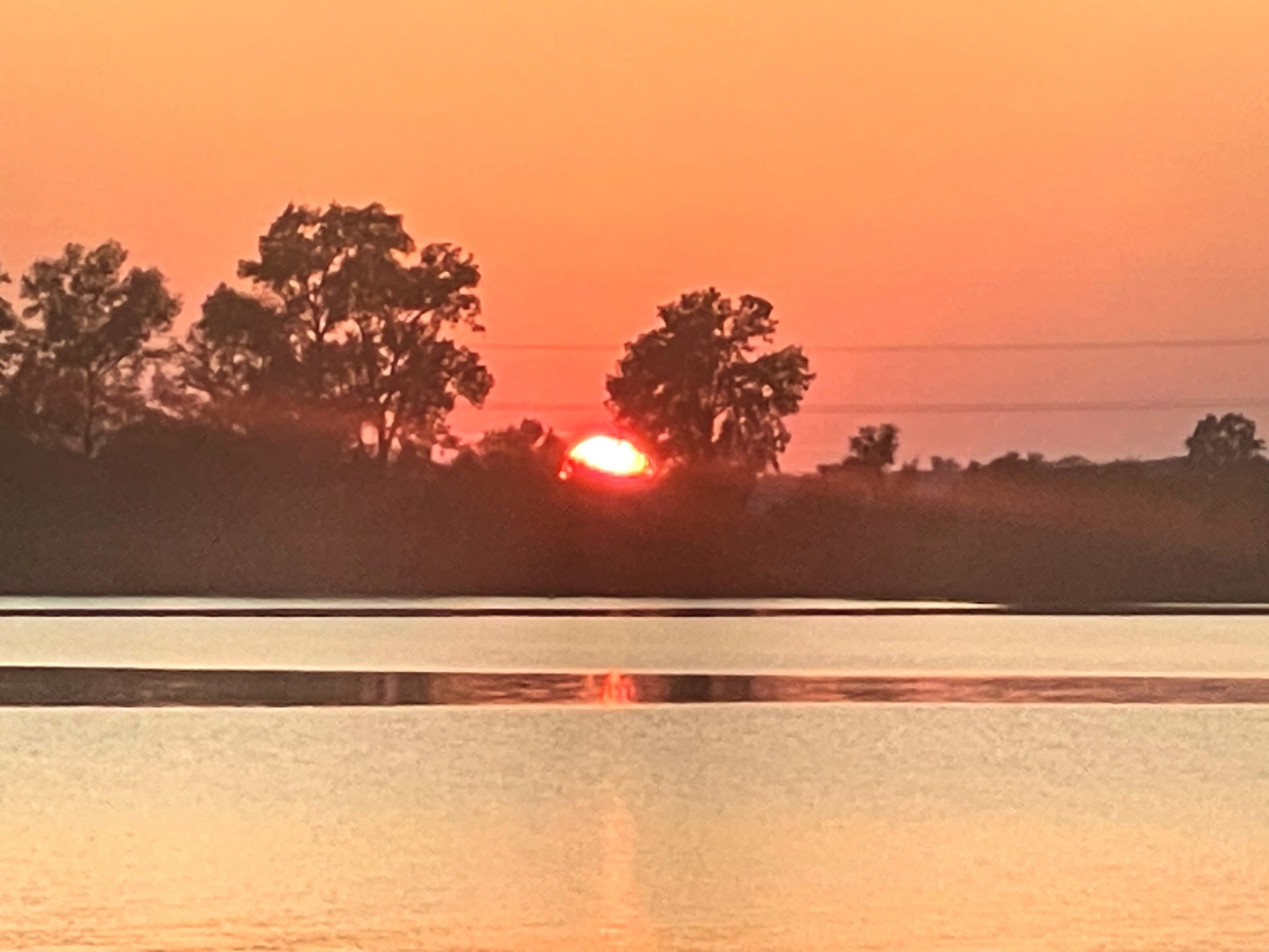 Red-orange half sun behind silhouetted trees over calm water.
