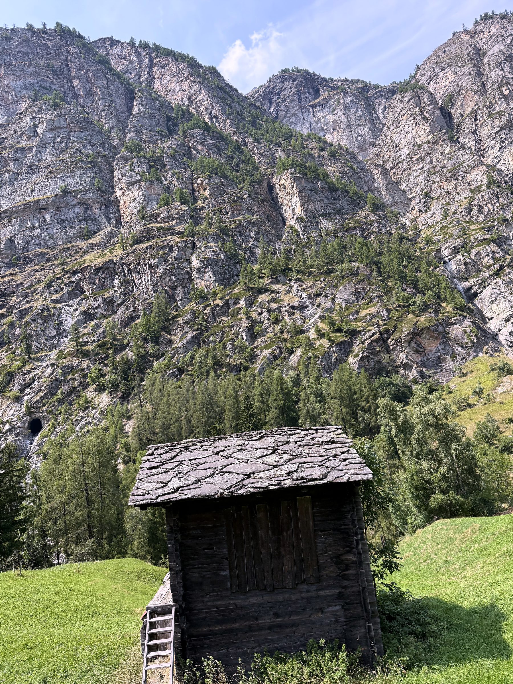 Wooden alpine shed with a ladder on a green Herbriggen hillside.