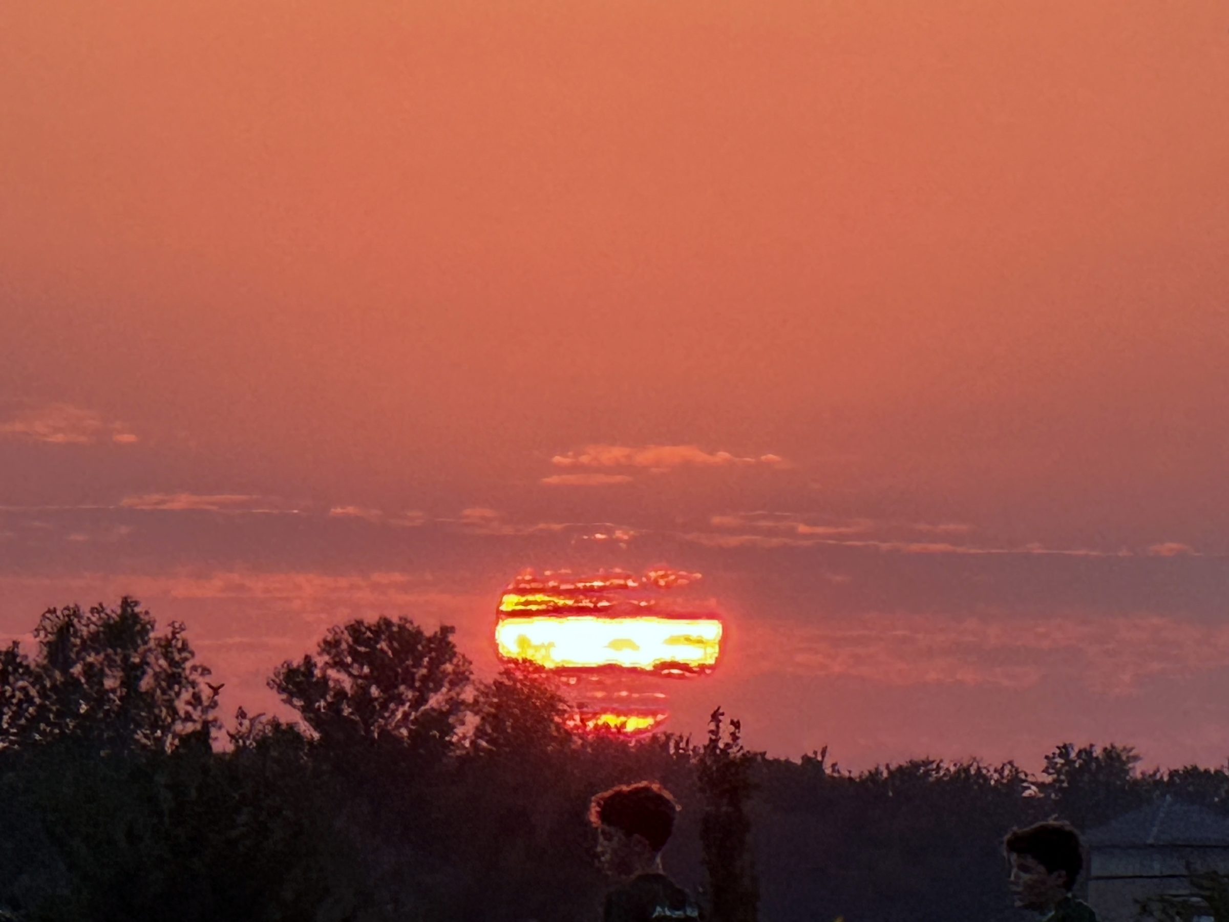 Bright sun sliced by a dark tree line at vivid orange dusk.