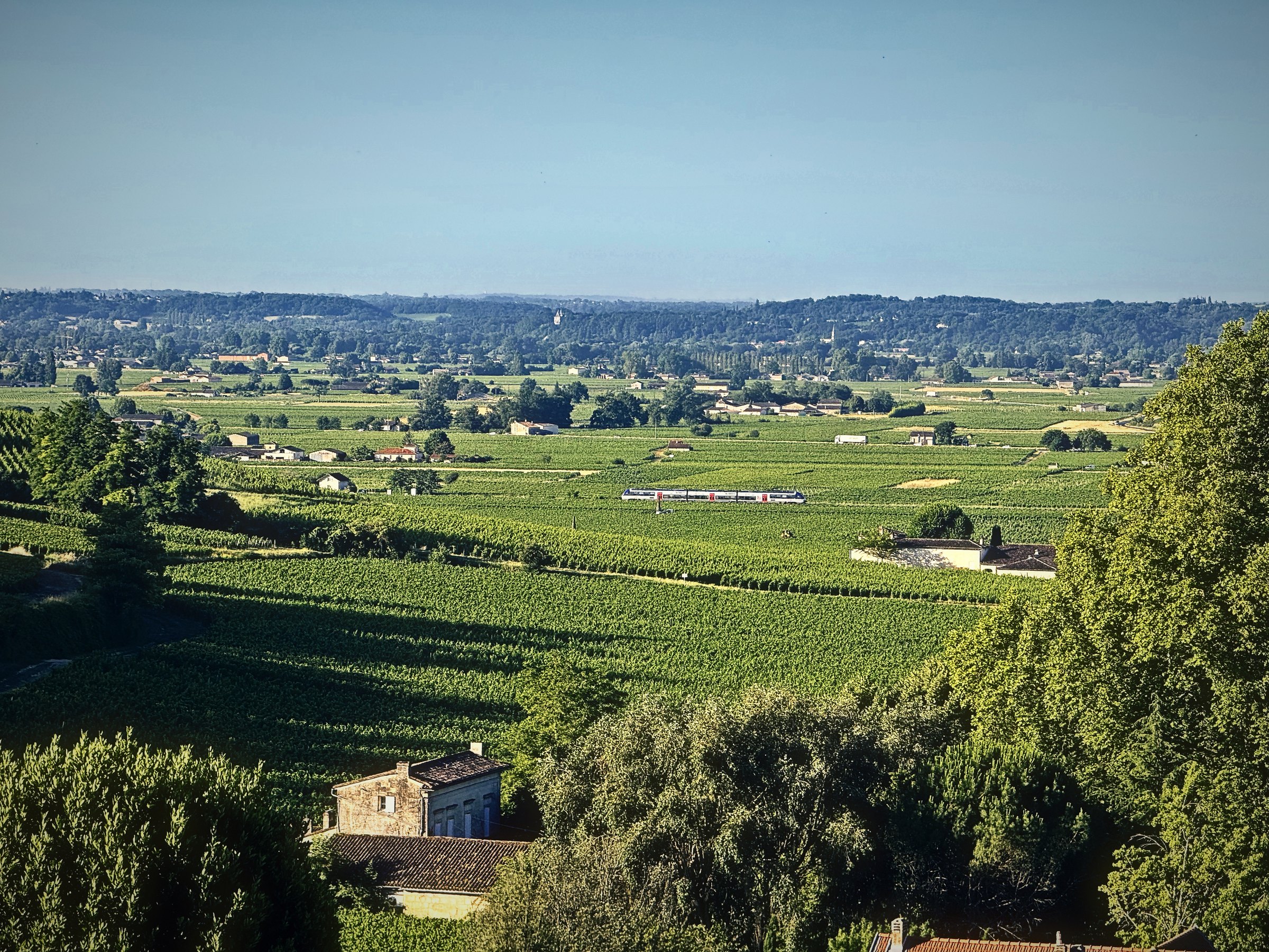 A sweeping view from a hilltop over trees and a wide green plain toward a hazy horizon.