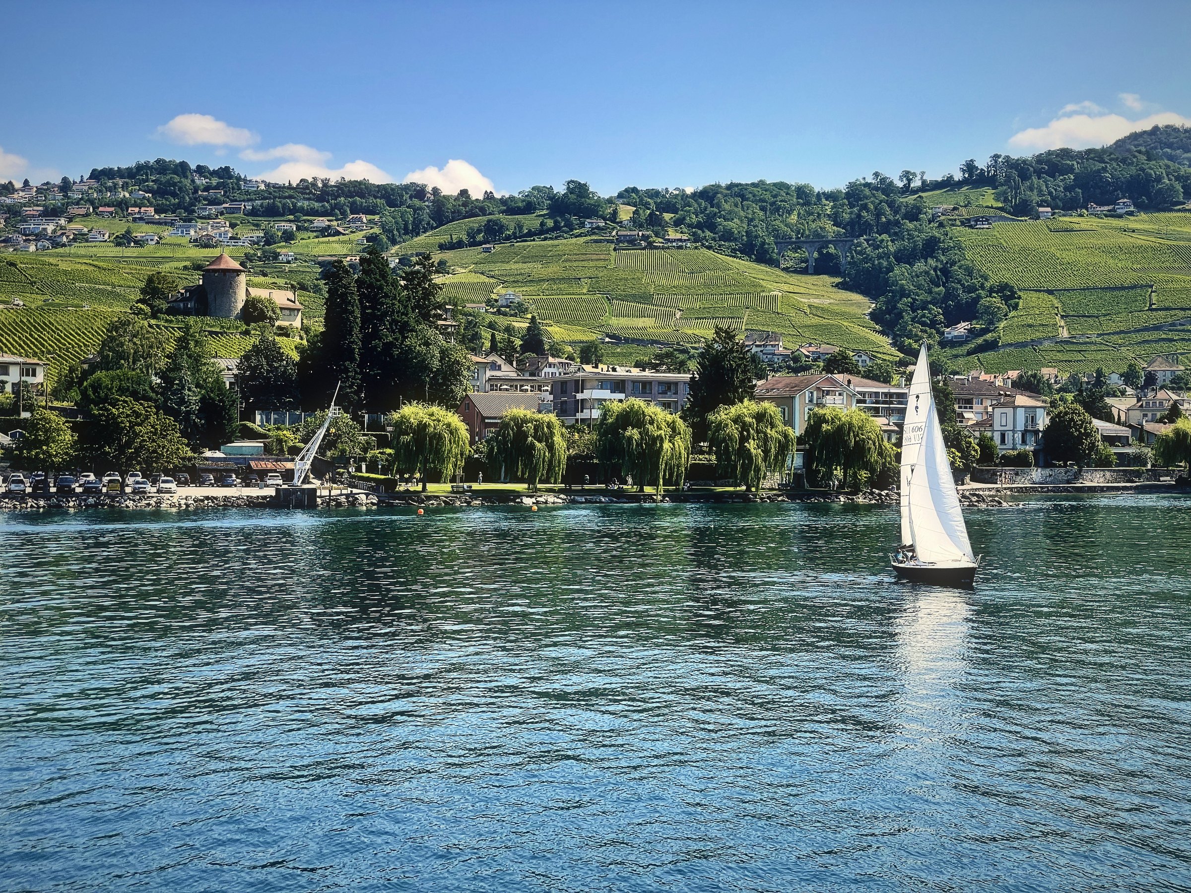 A single white sail on Lake Geneva in front of vineyard rows and a lakeside village.