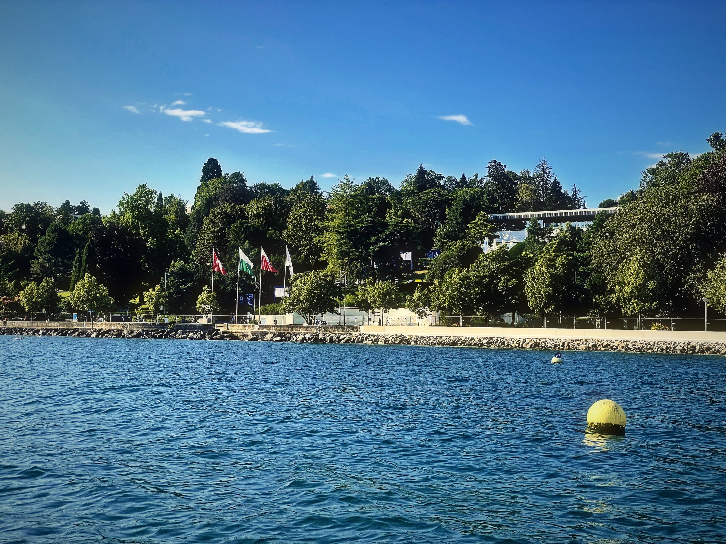 A single yellow buoy on blue water before a wooded, sunlit shore.