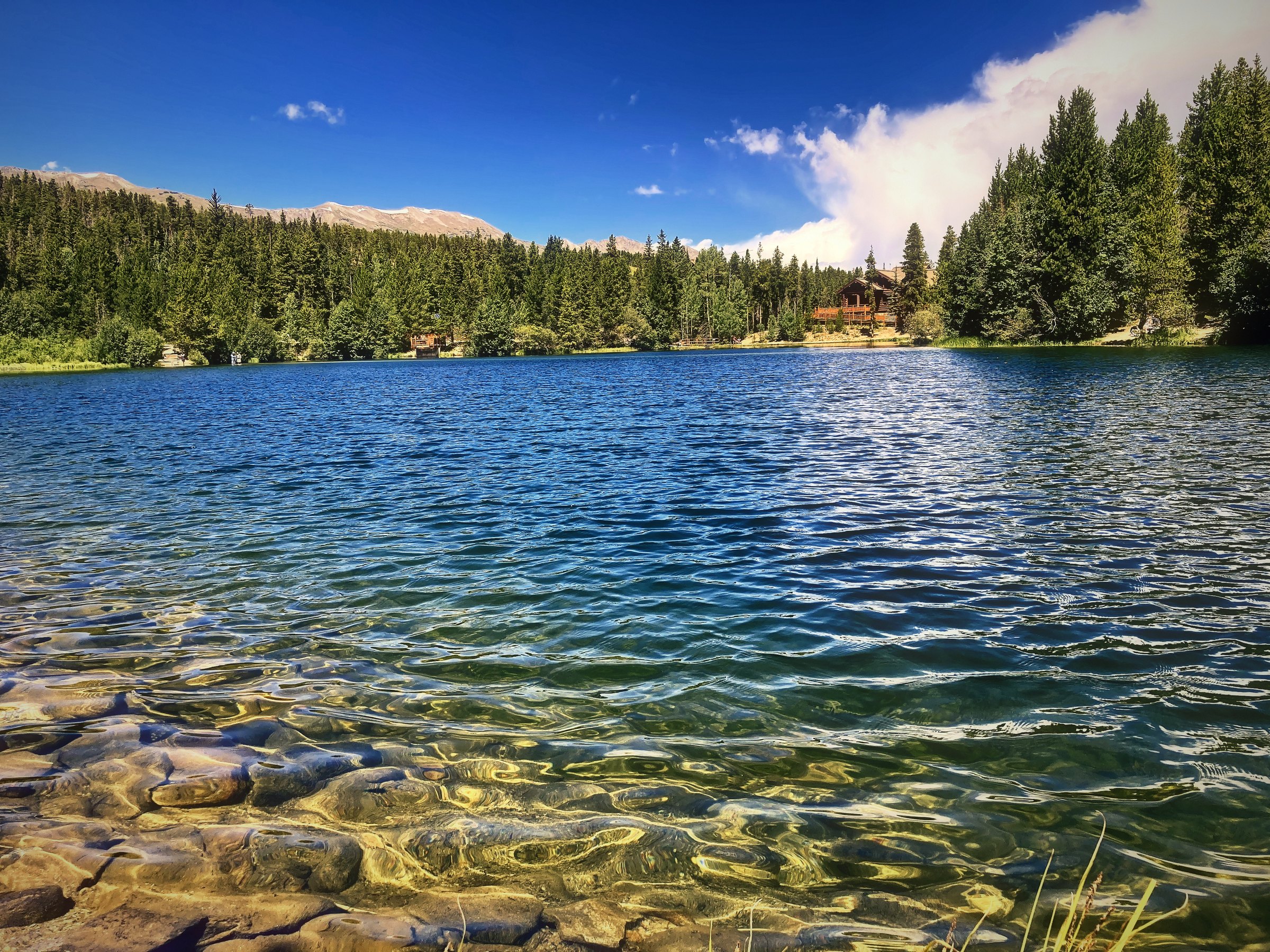 Clear alpine water over pebbles, with a wooded shore and blue sky behind.