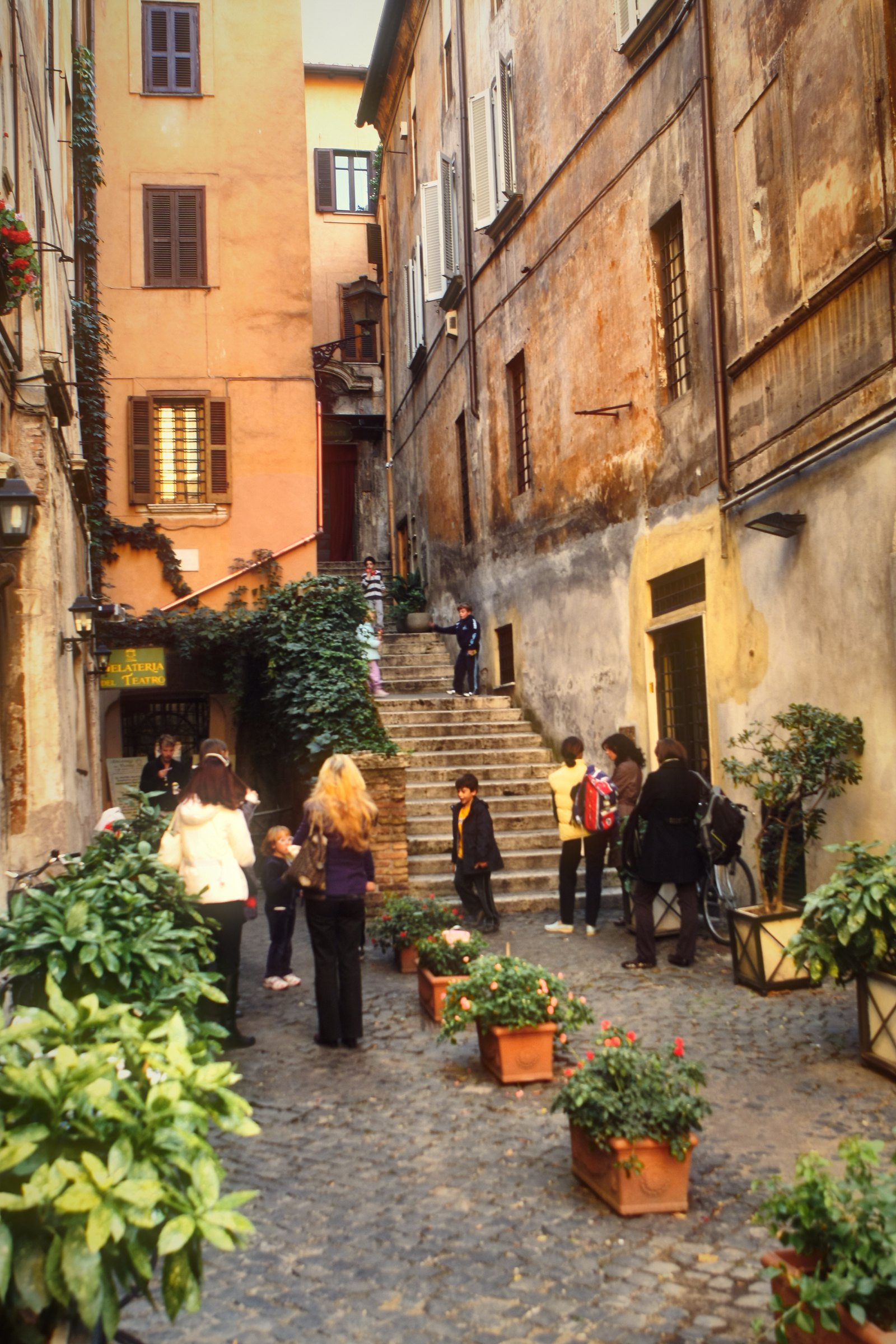 A narrow street with ivy, potted plants and stone steps.