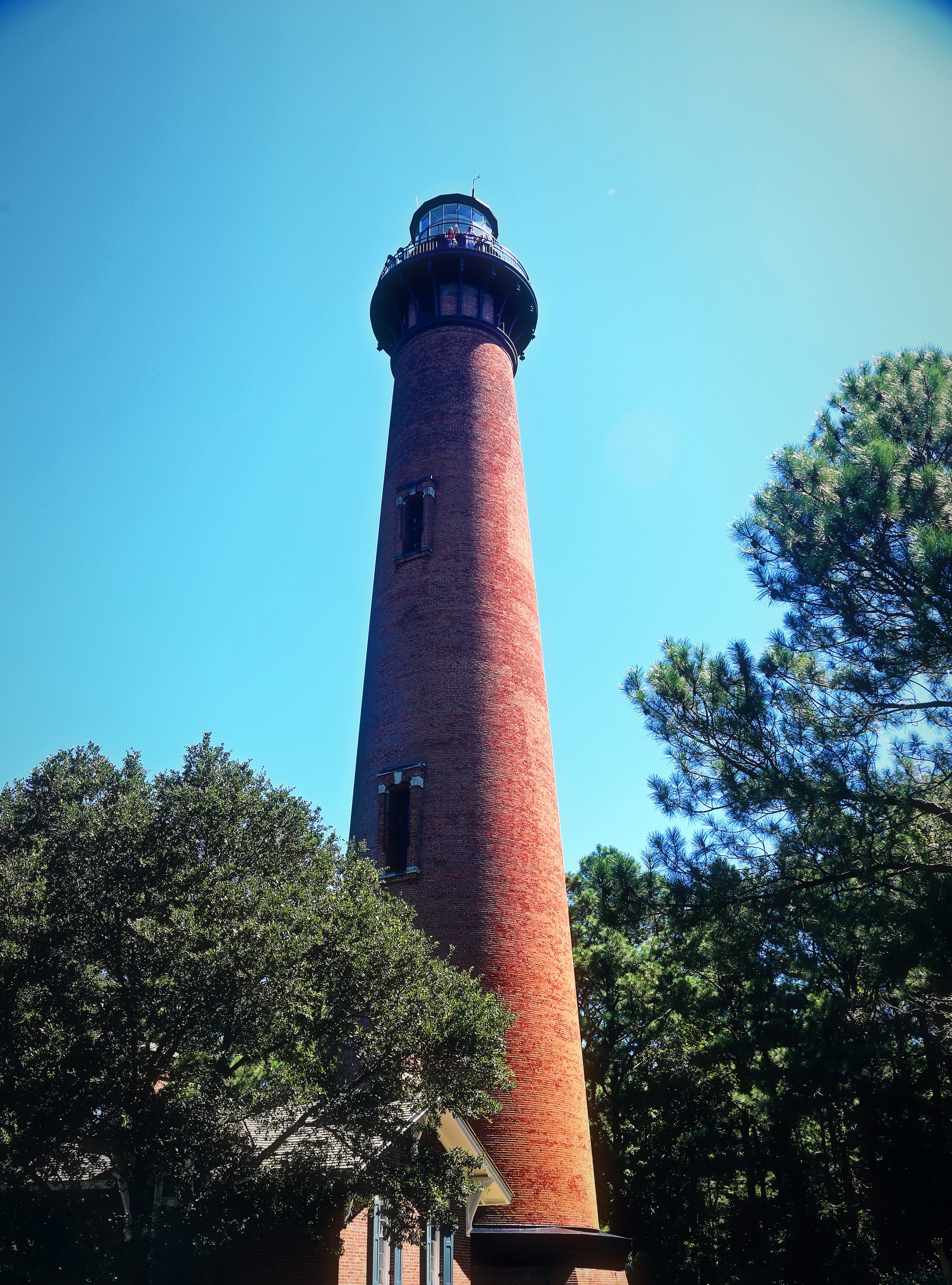 Tall unpainted red-brick lighthouse rising above pine trees into a blue sky.