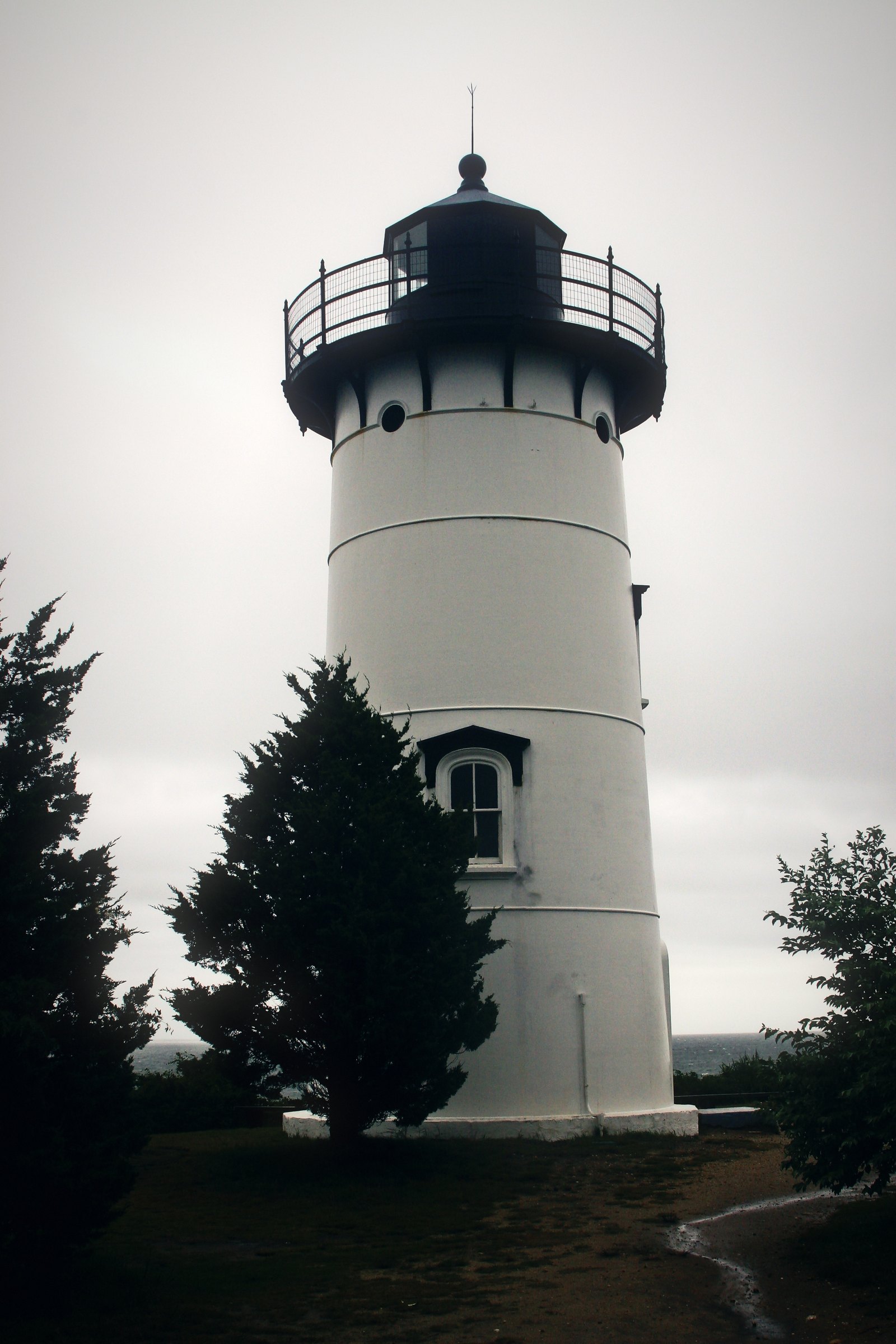 White lighthouse tower with a black lantern under an overcast sky, framed by dark trees.