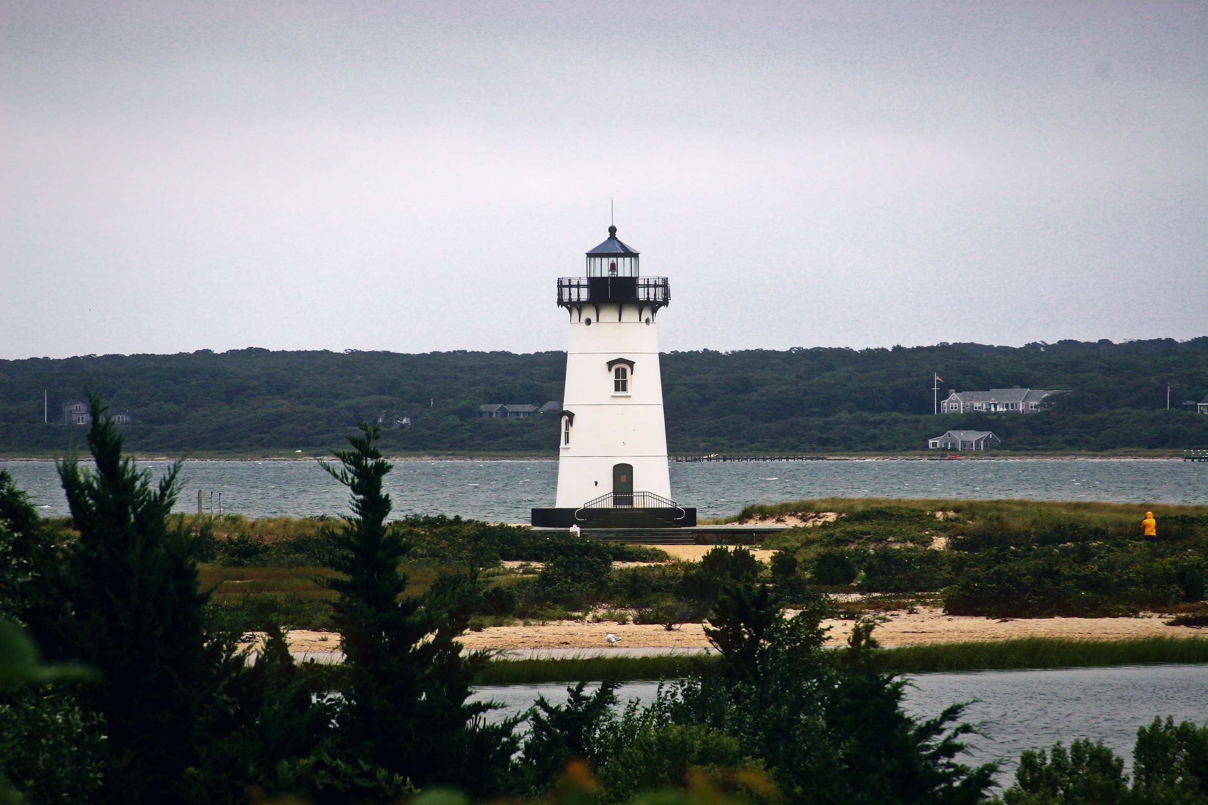 Small white lighthouse at the edge of a harbor, seen across marsh grass and pines.