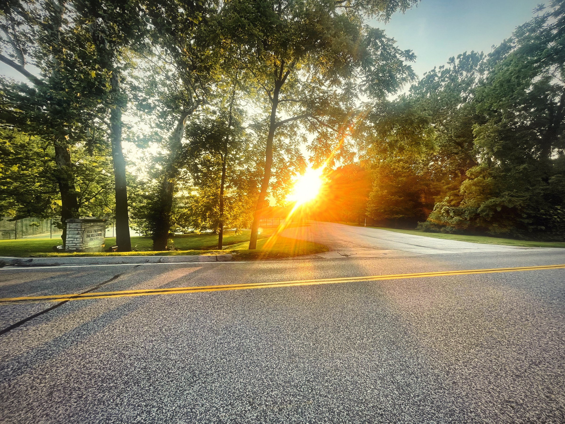 Low sun bursting through trees over a curving road with a double yellow line.