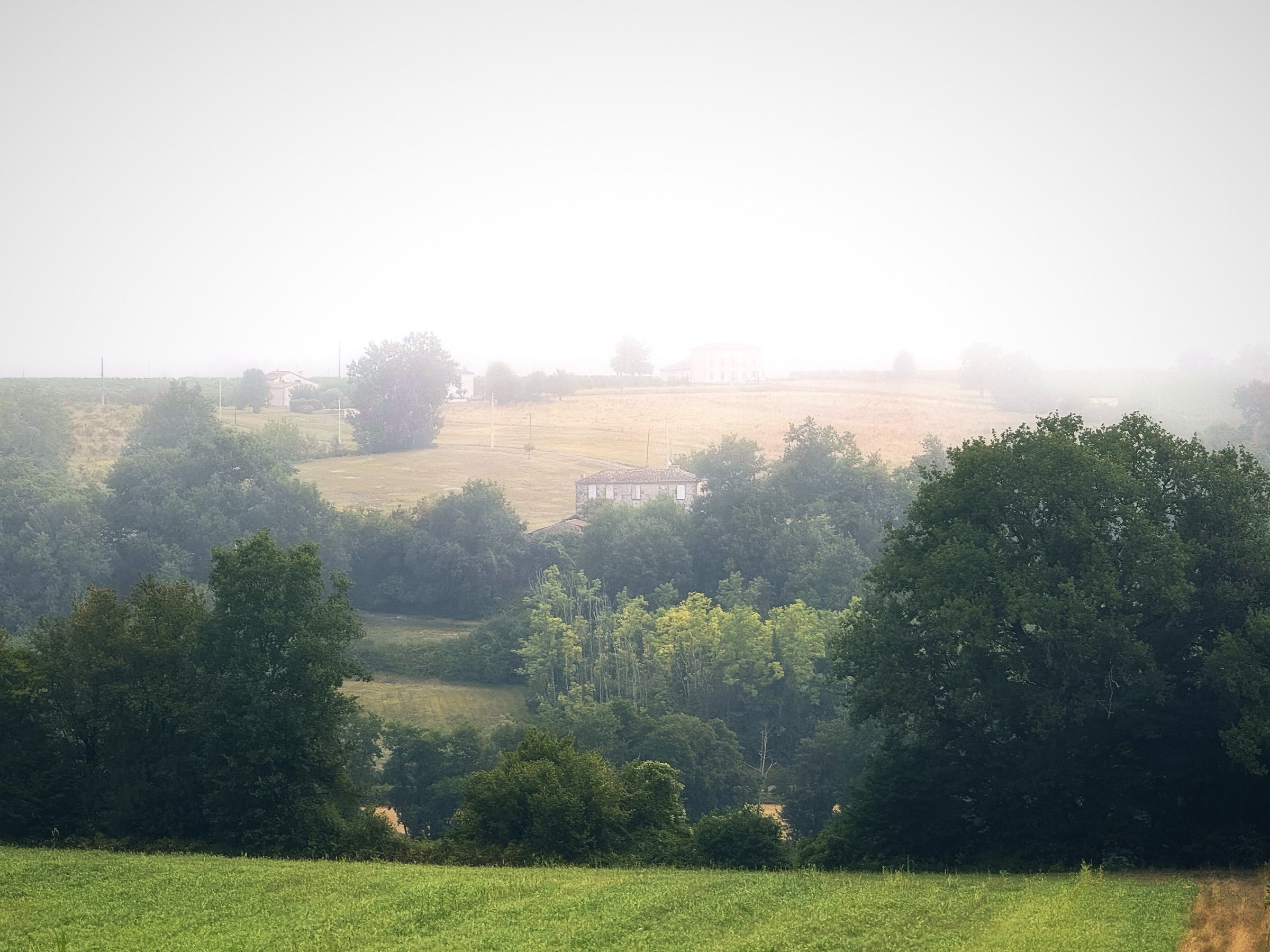 Soft morning fog filling a wooded hollow beyond a green field.