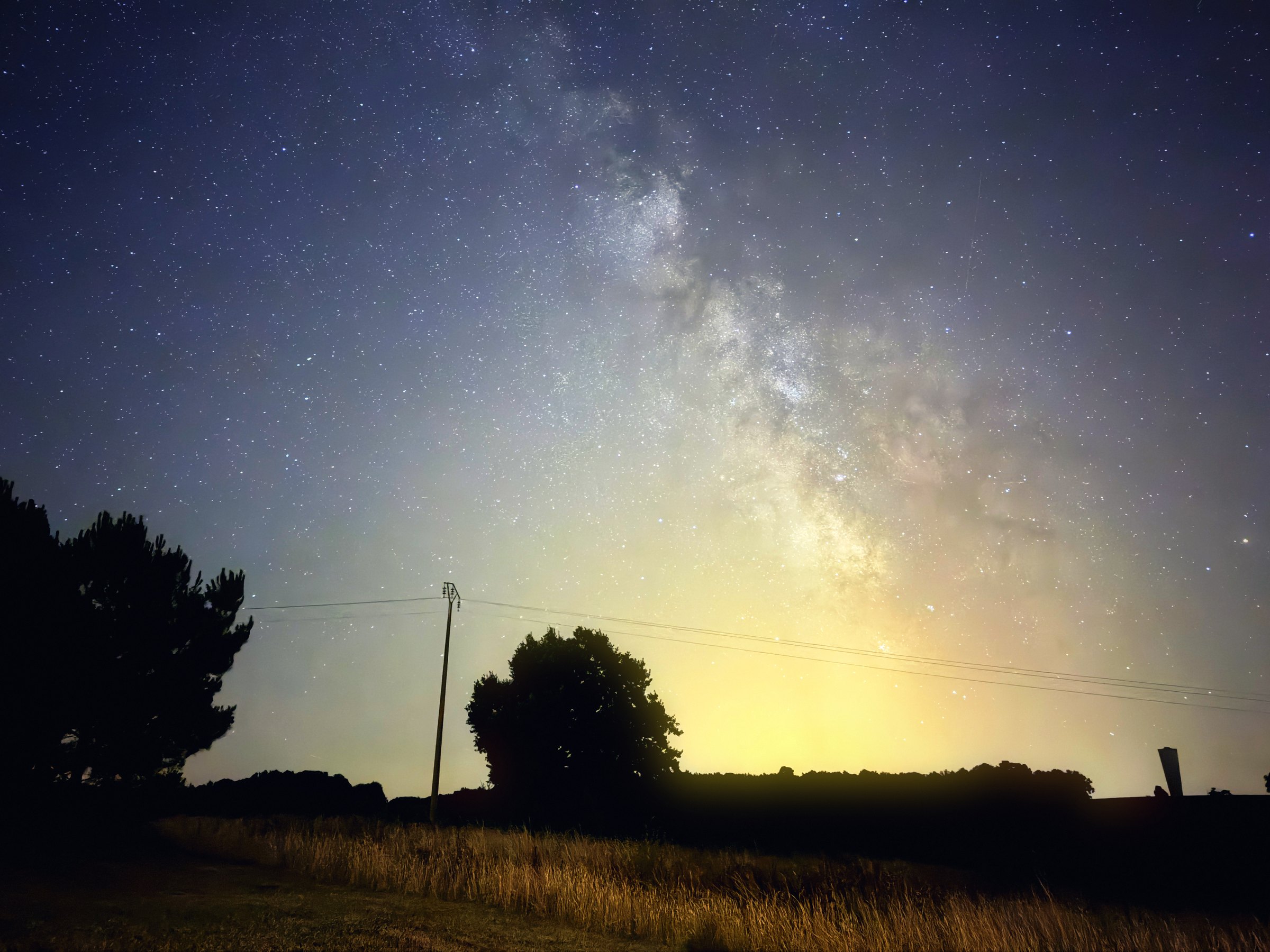 The Milky Way rising over dark tree silhouettes and a faint glow on the horizon.