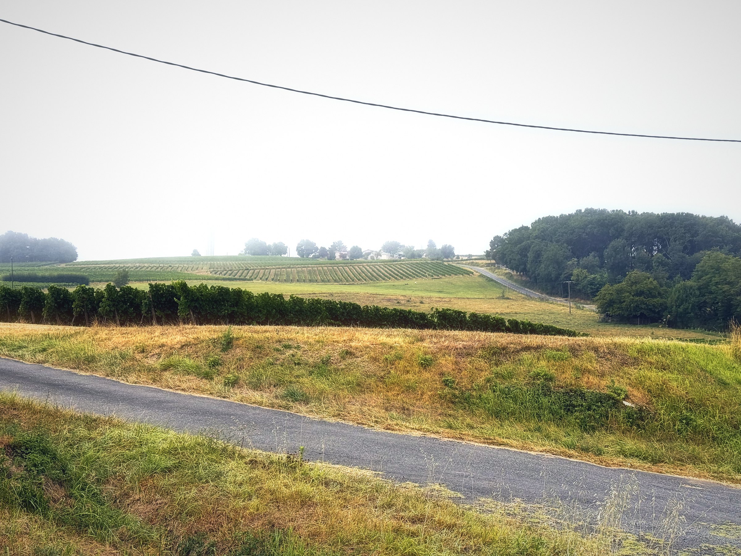 A country lane running past a hedge and fields under a pale, misty sky and a single wire.