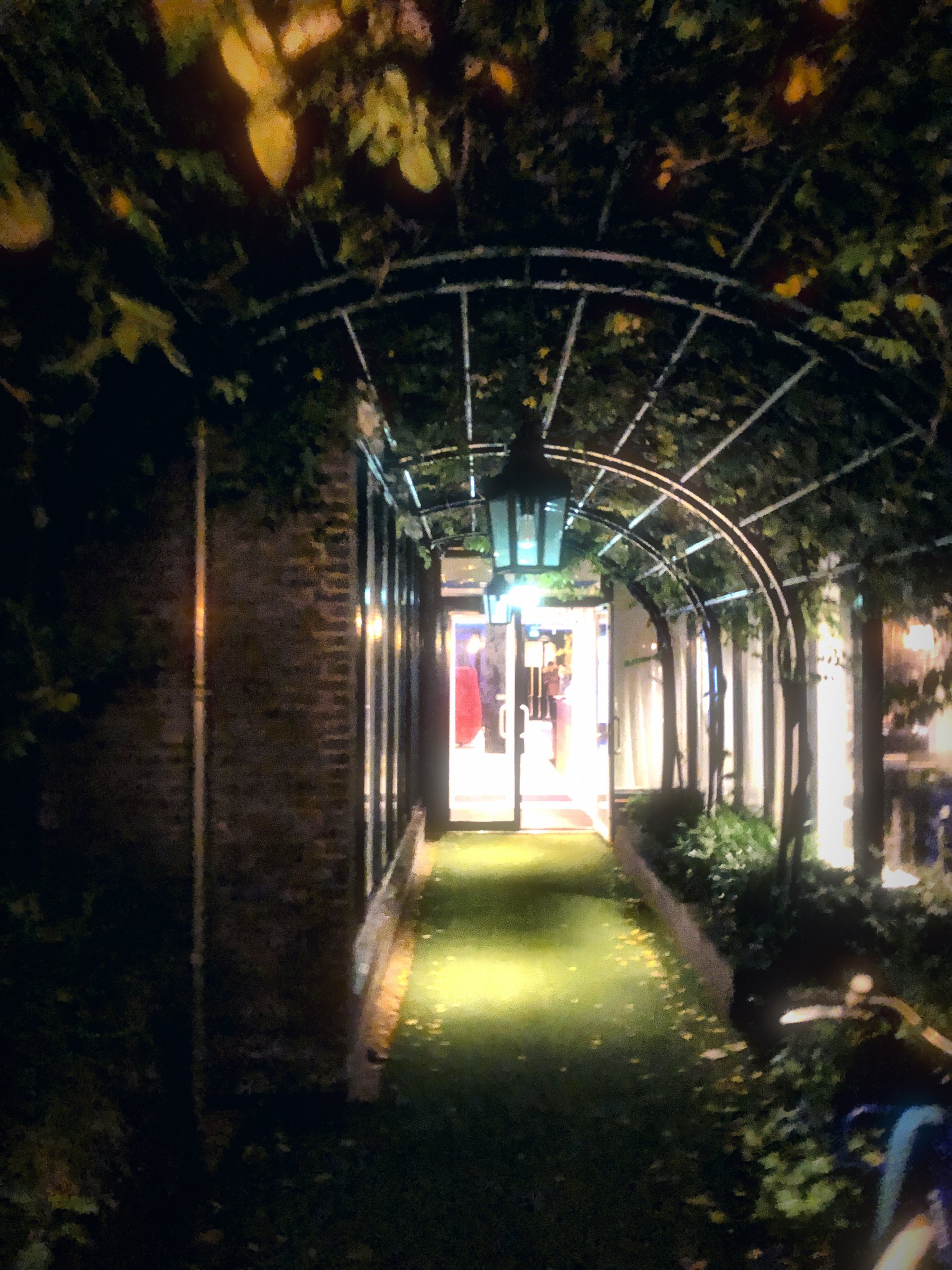 A lit metal arbor tunnel through dark leaves to a glowing doorway.