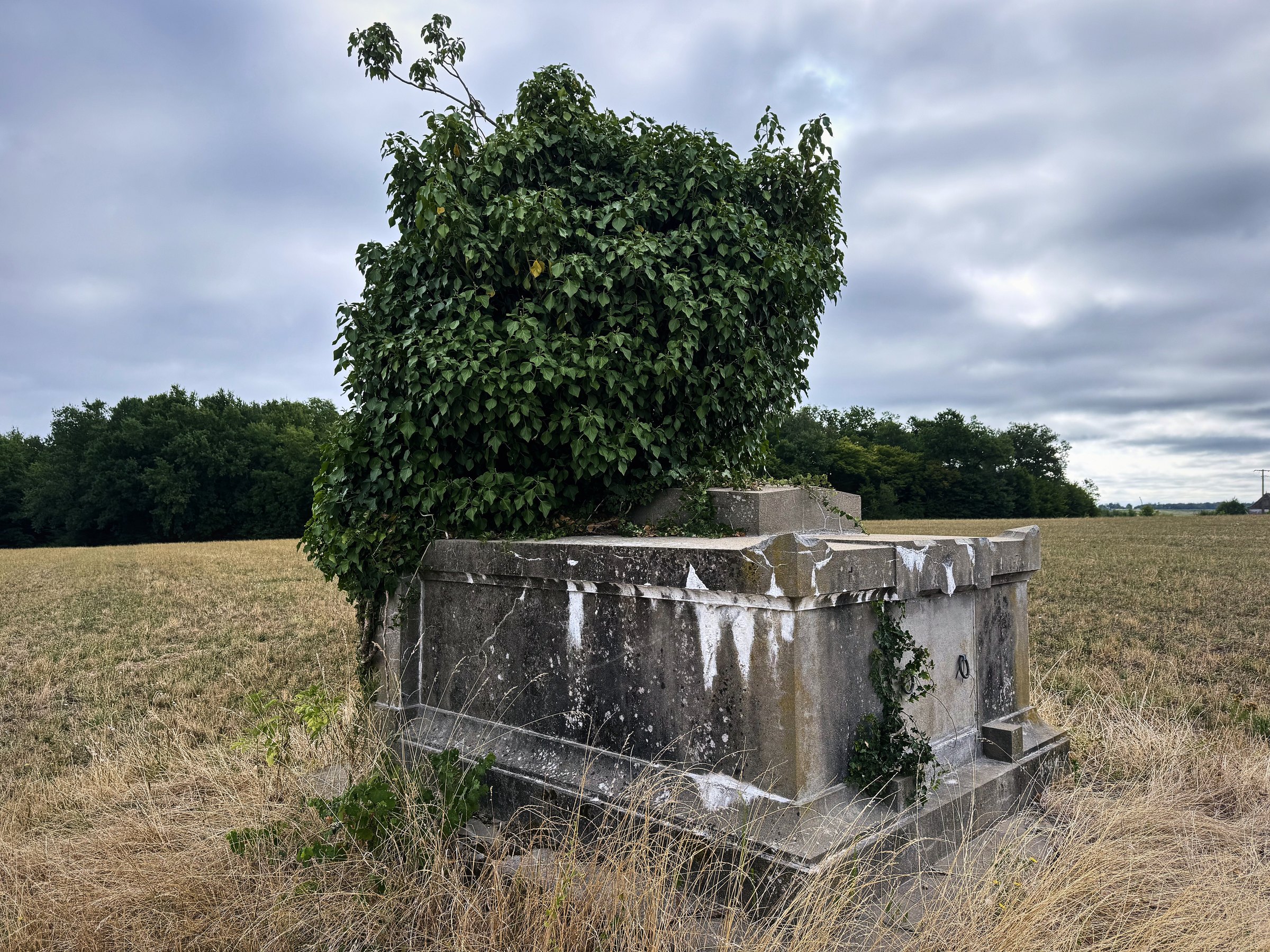 A weathered stone structure with a tree growing from it in the middle of a stubble field under grey cloud.