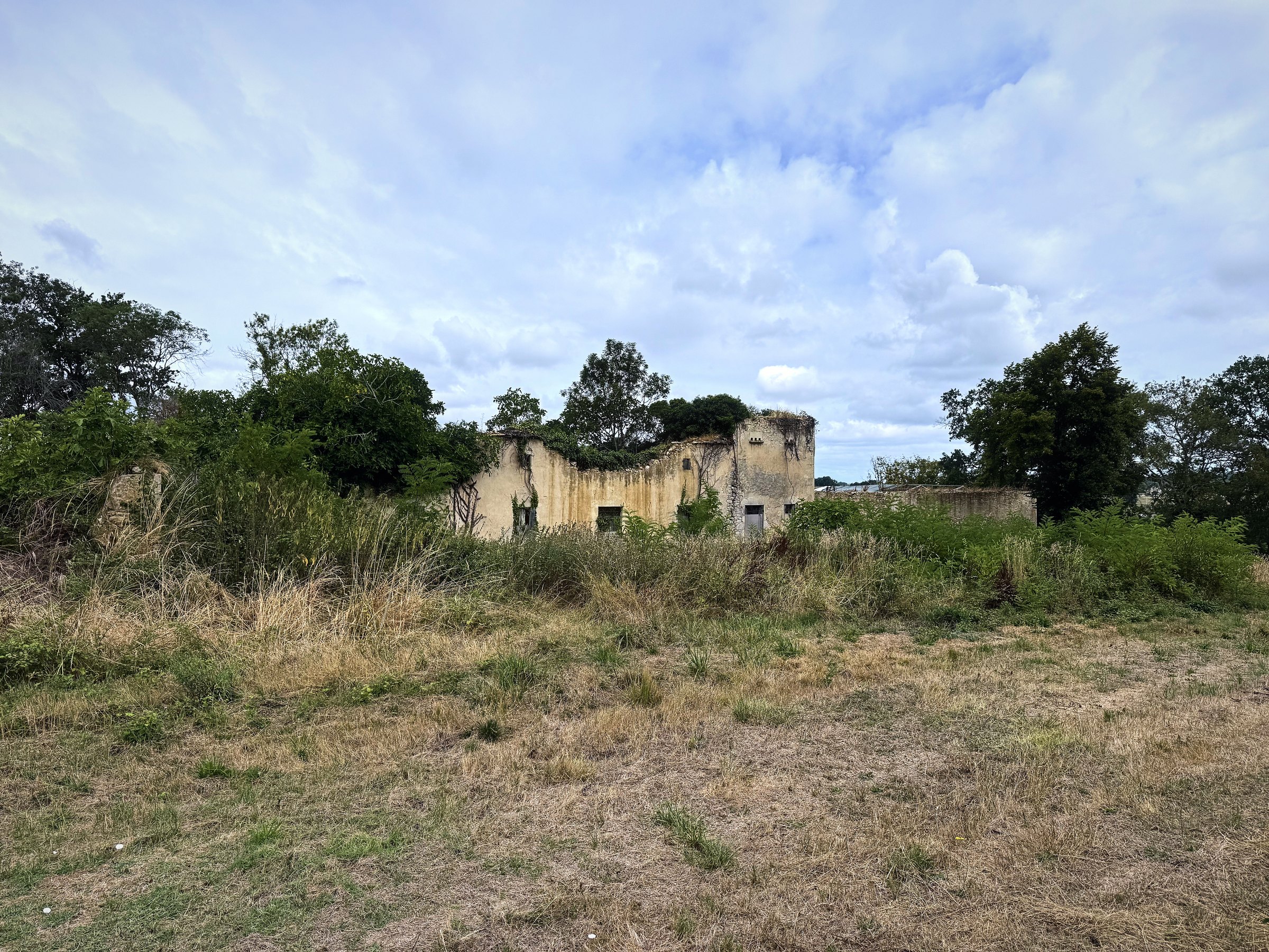 A low old farmhouse half-hidden behind tall summer grass and trees under a cloudy sky.