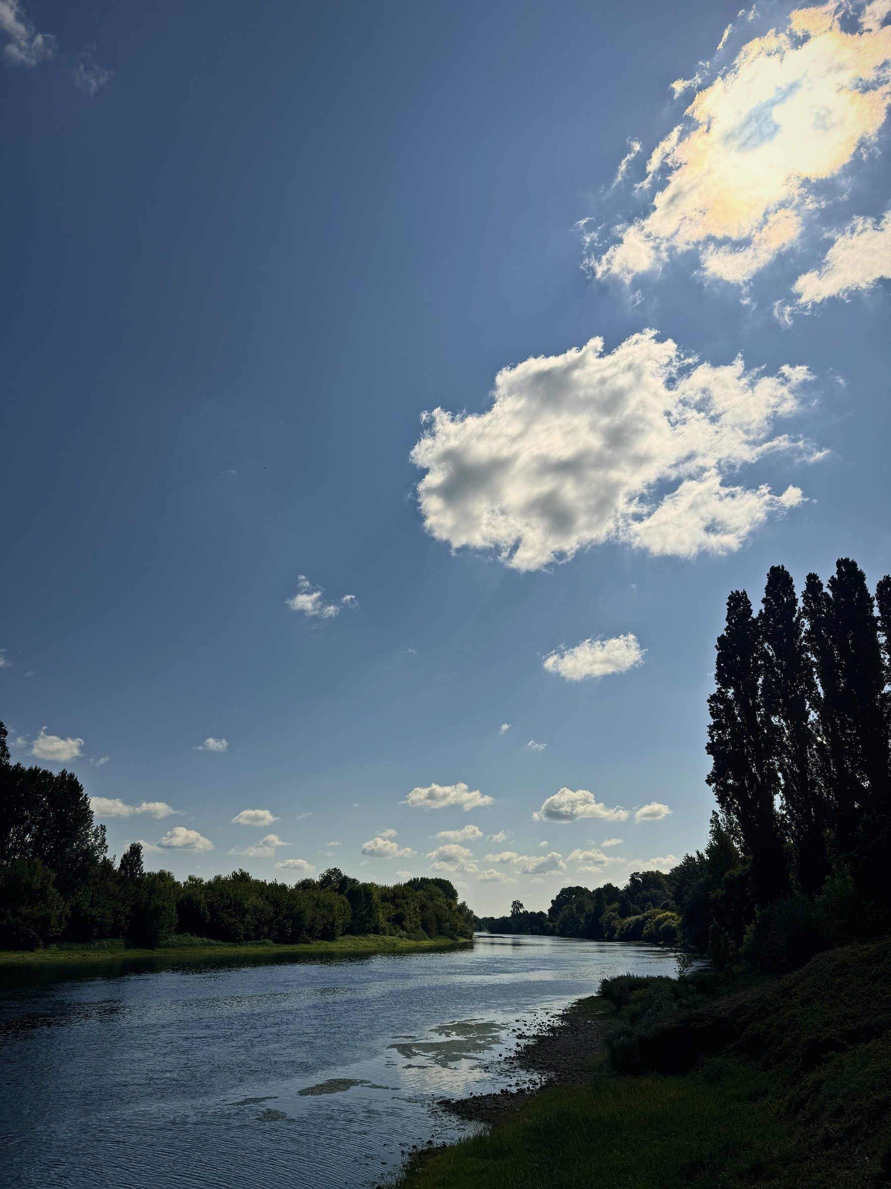 The Dordogne bending past green banks and poplars under blue sky and soft cloud.