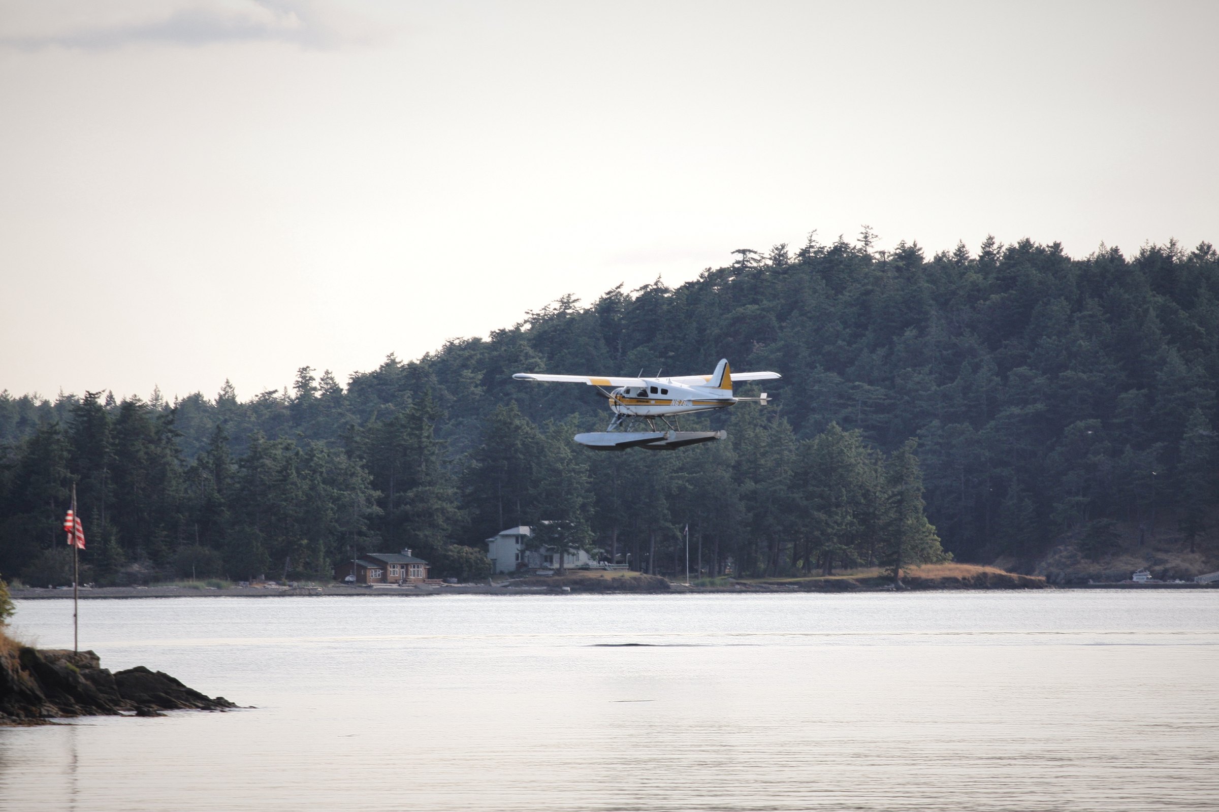 A floatplane lifting off a calm bay in front of a dark, forested shoreline.