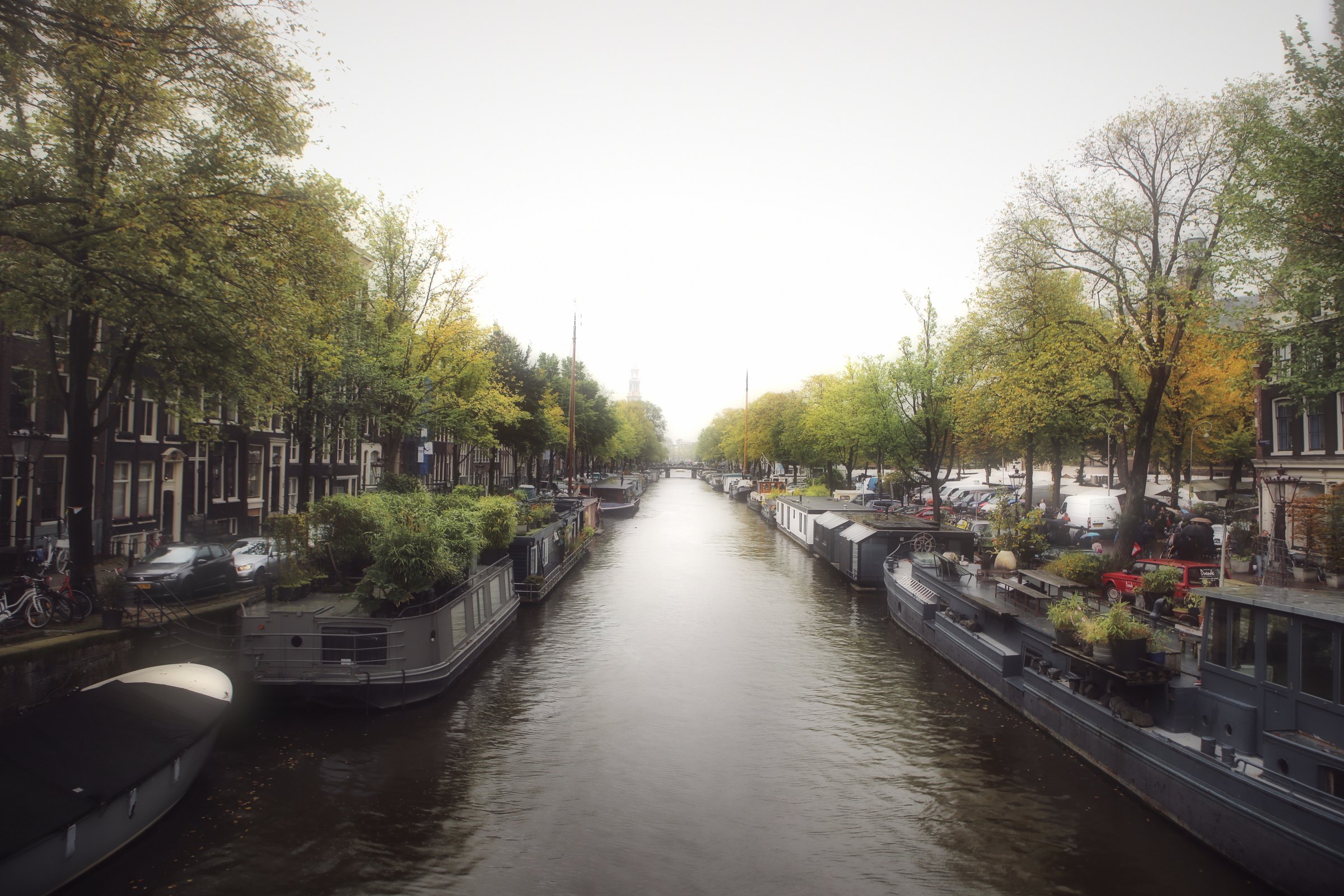 A straight canal stretching away between trees and houseboats.