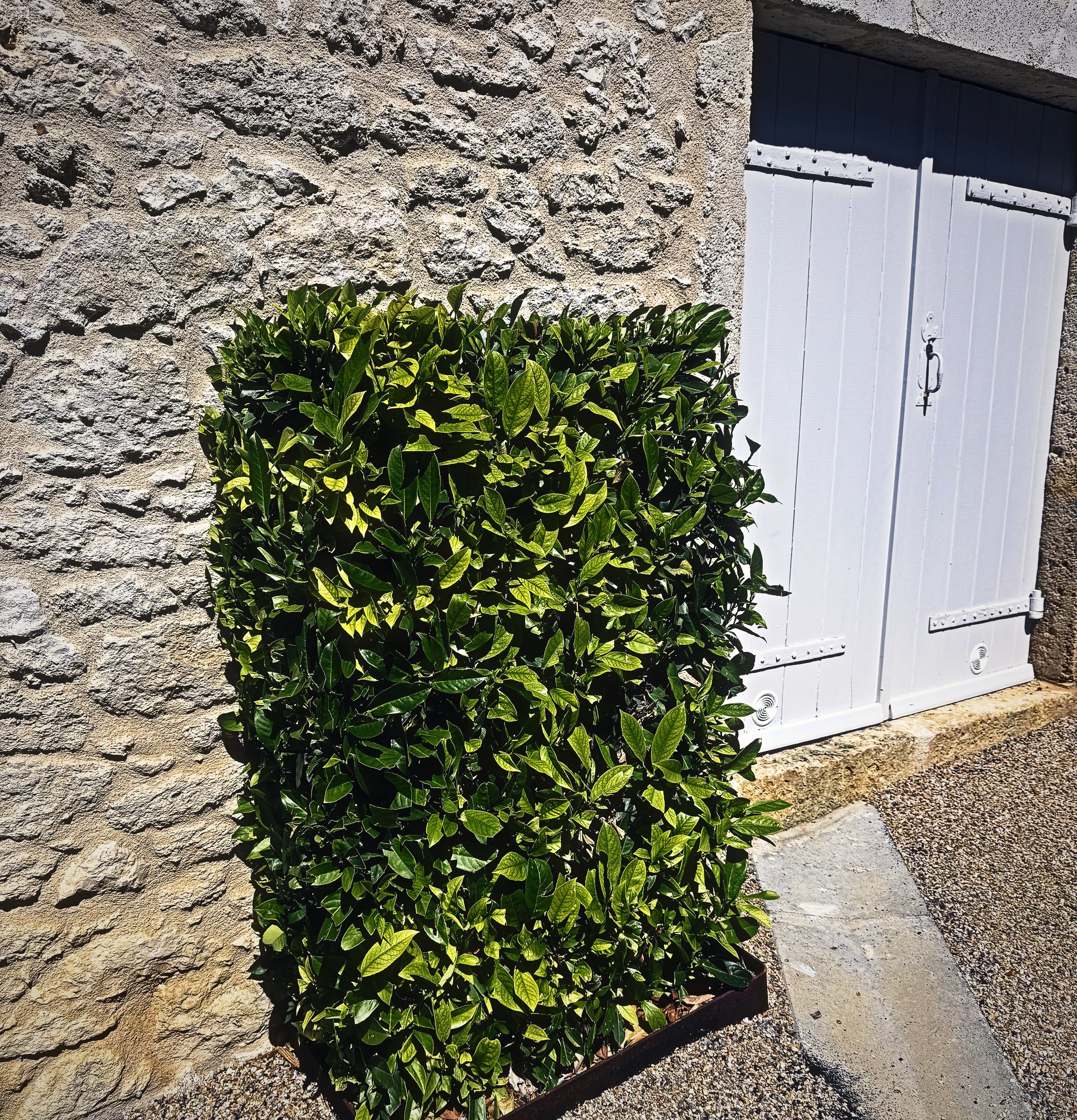 A clipped green hedge block against a rough stone wall beside pale wooden garage doors.