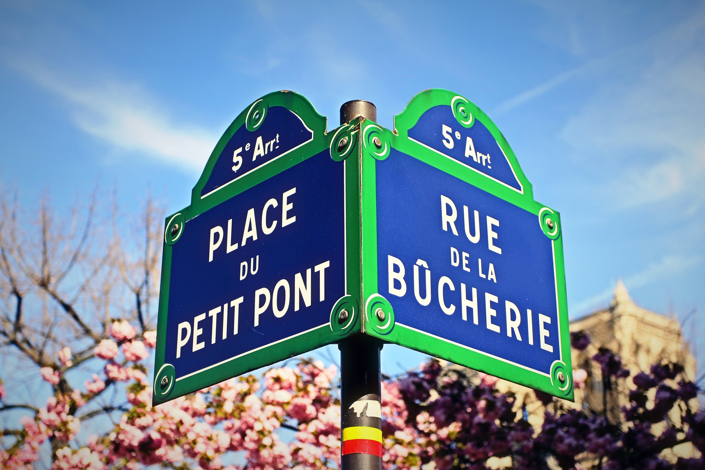 Two blue Paris street signs on one post, Place du Petit Pont and Rue de la Bûcherie, above pink blossoms.