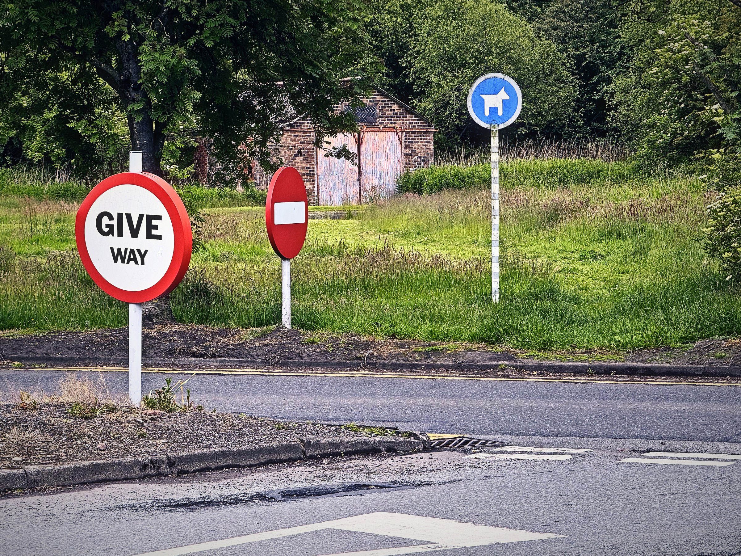 Round GIVE WAY sign, no-entry sign and blue dog sign by a Scottish road.