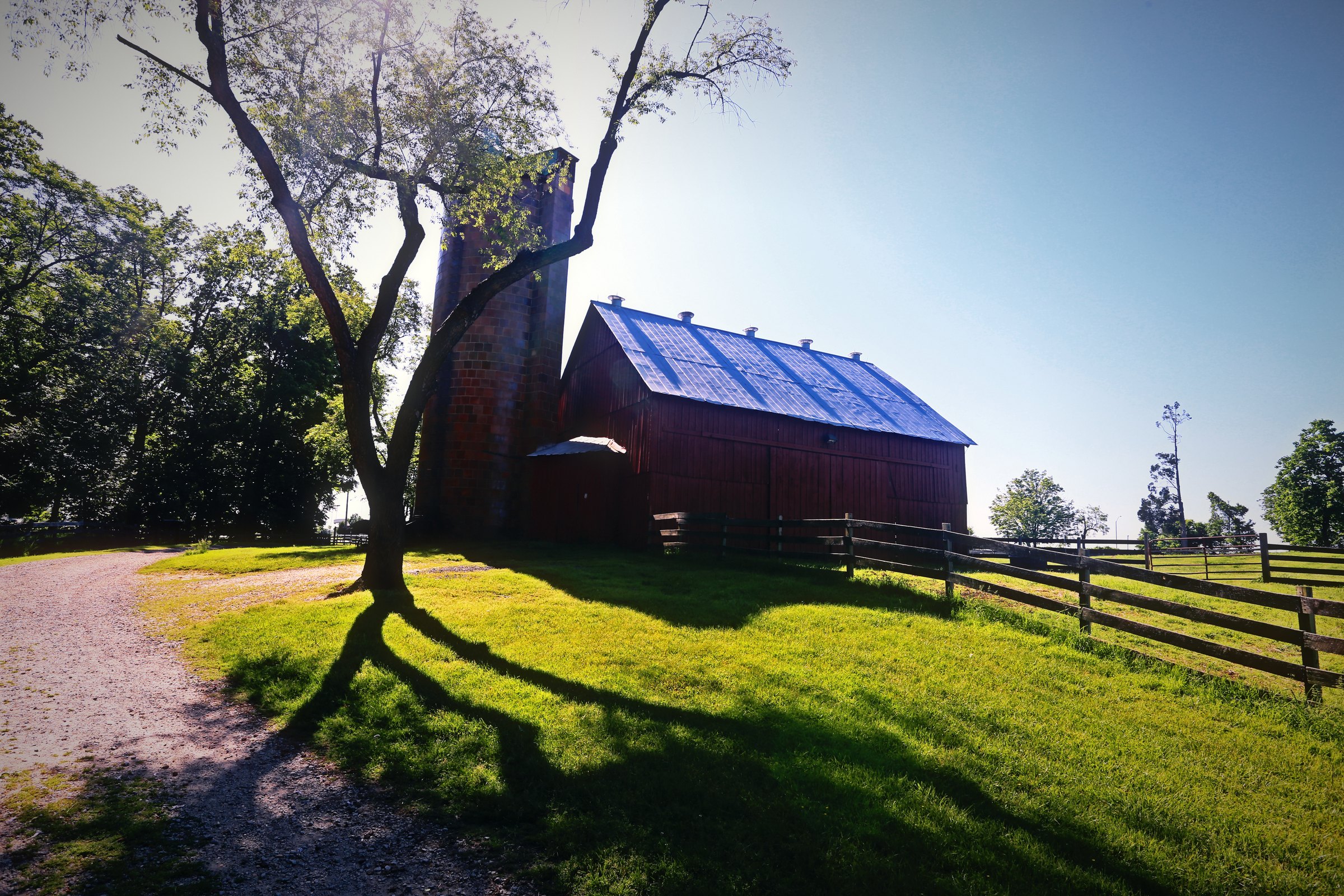 A red barn with a blue roof behind a bare tree and a sunlit green slope.