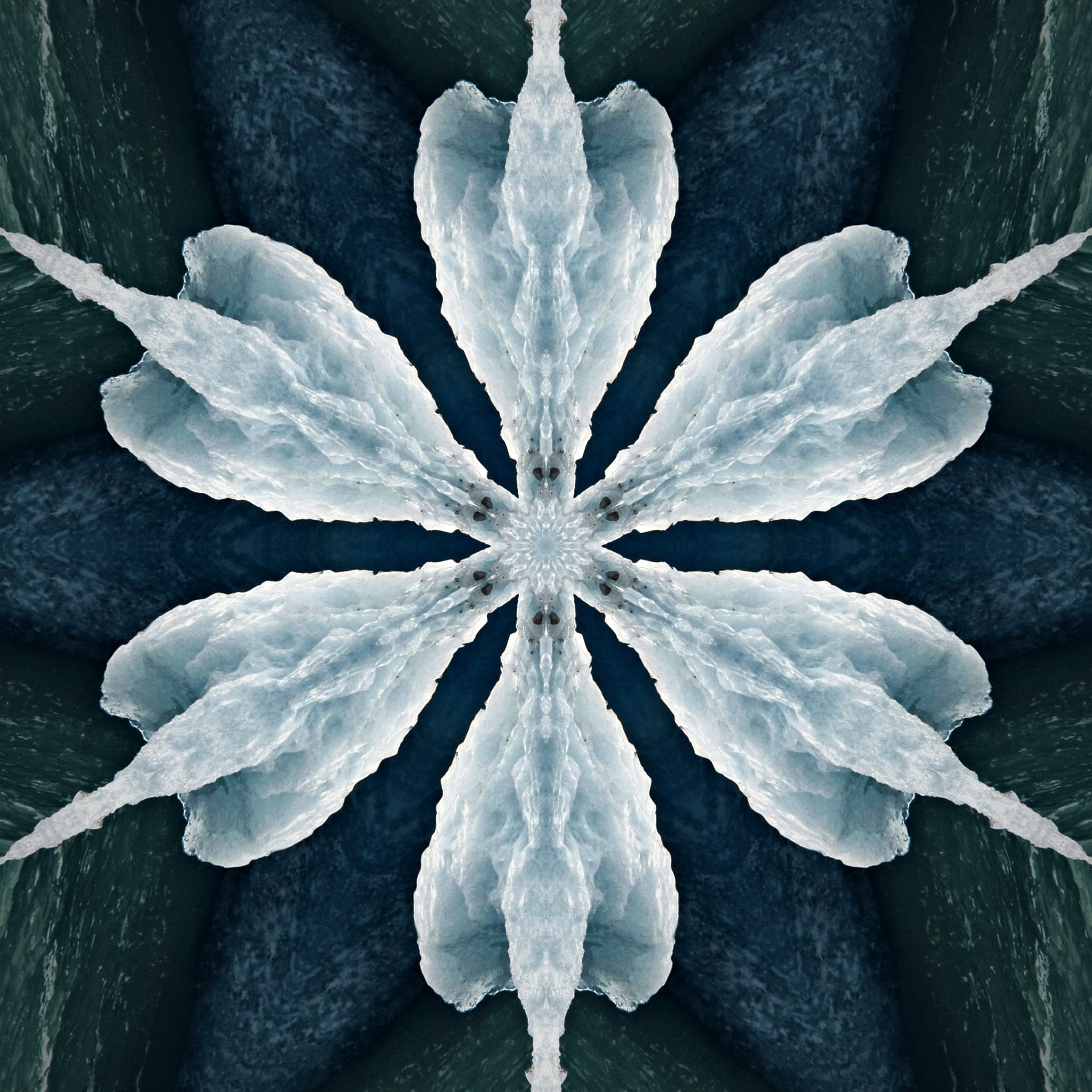 Silver-white kaleidoscope petals spreading like a lotus on dark slate.