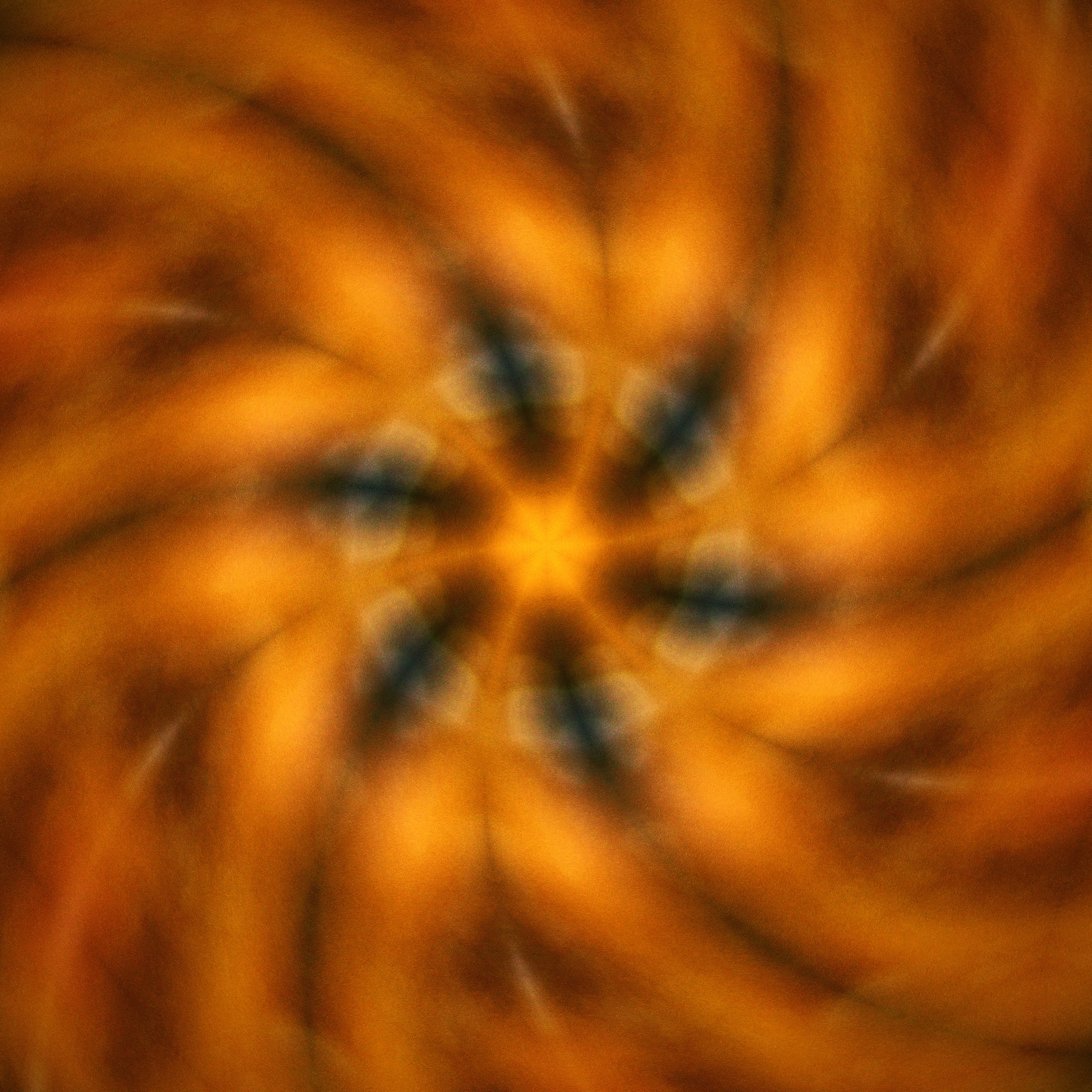 Swirling orange and amber kaleidoscope of autumn leaves.