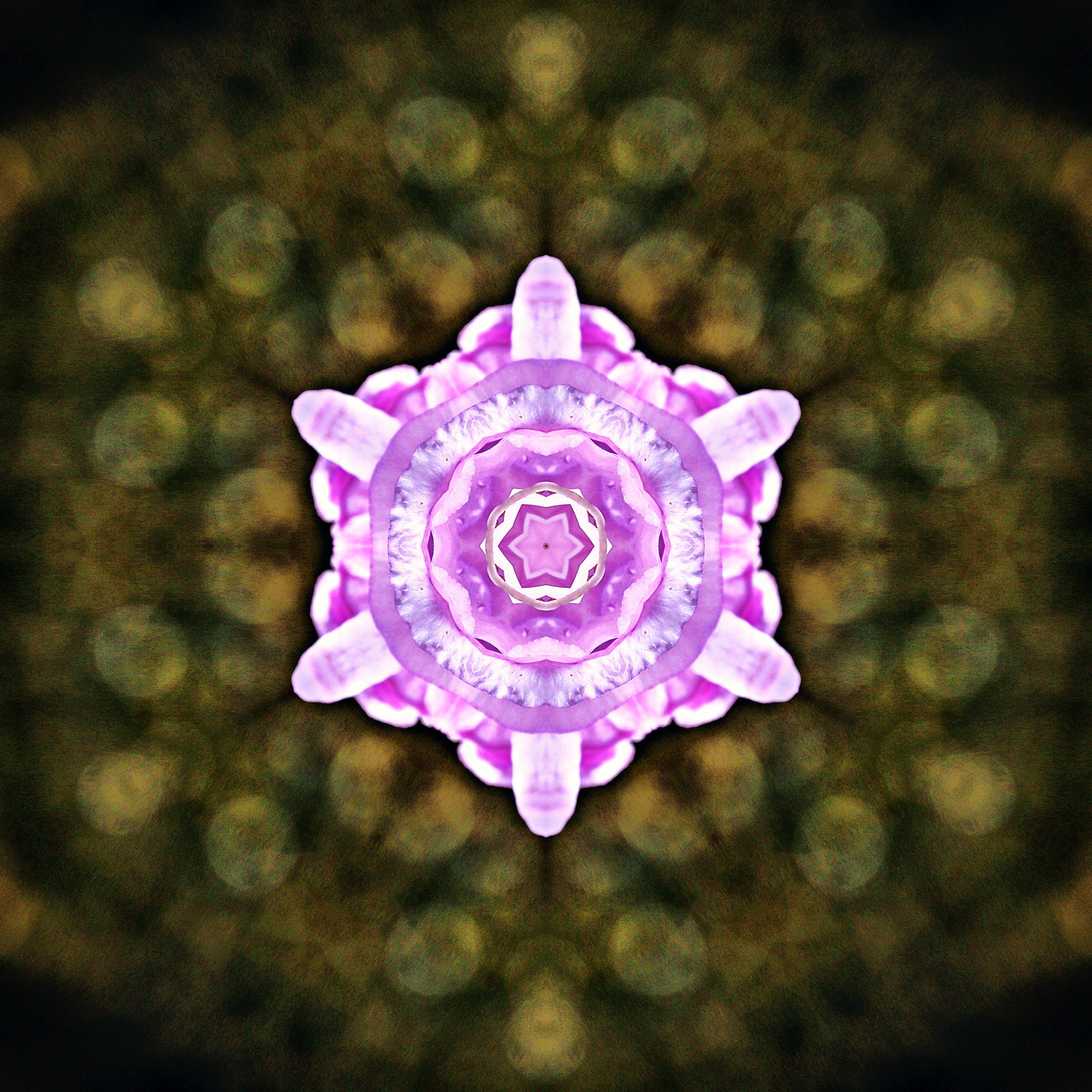 Violet star of petals at the center of a dark green and gold kaleidoscope.