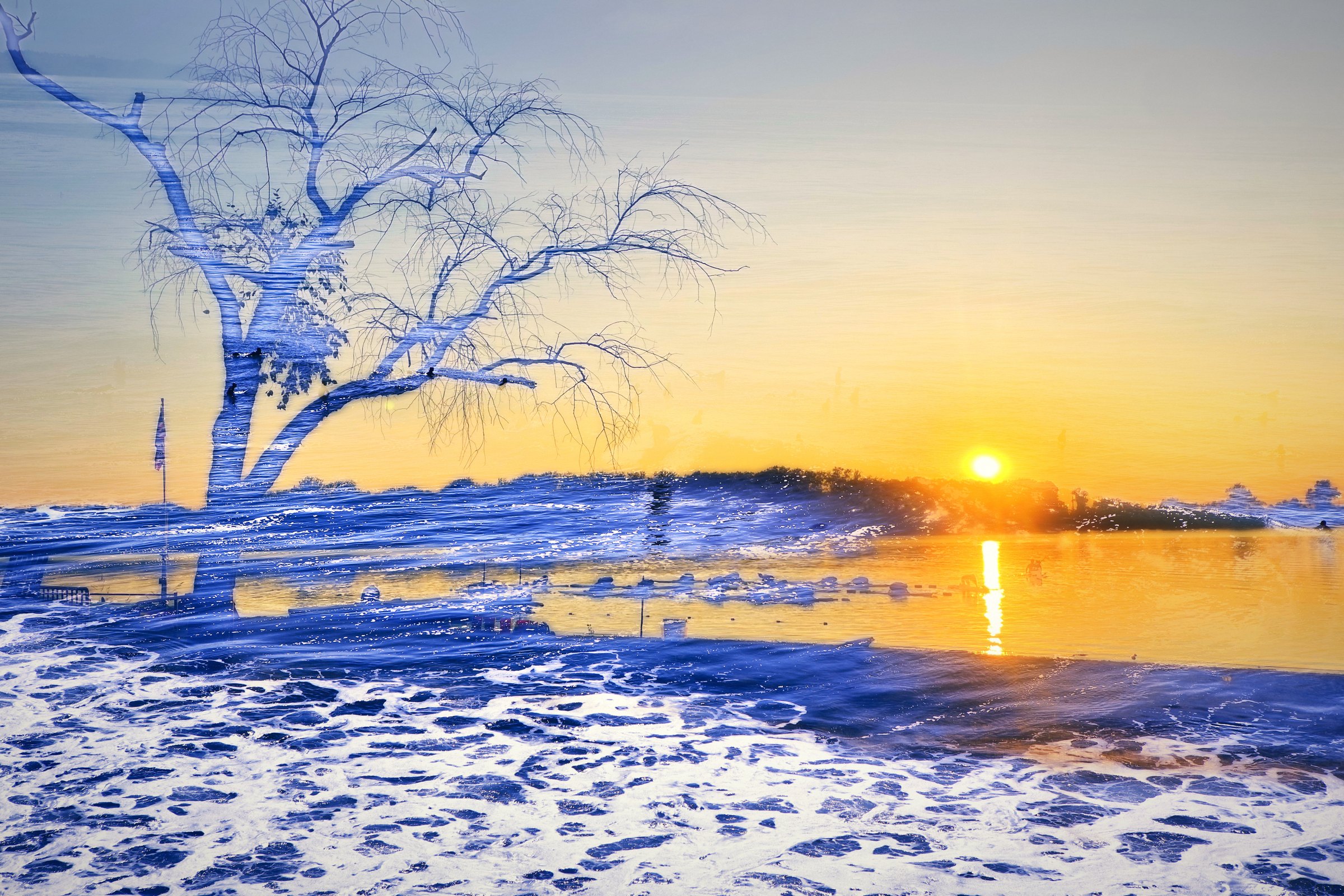 Bare tree silhouette at sunset filled with blue surf.