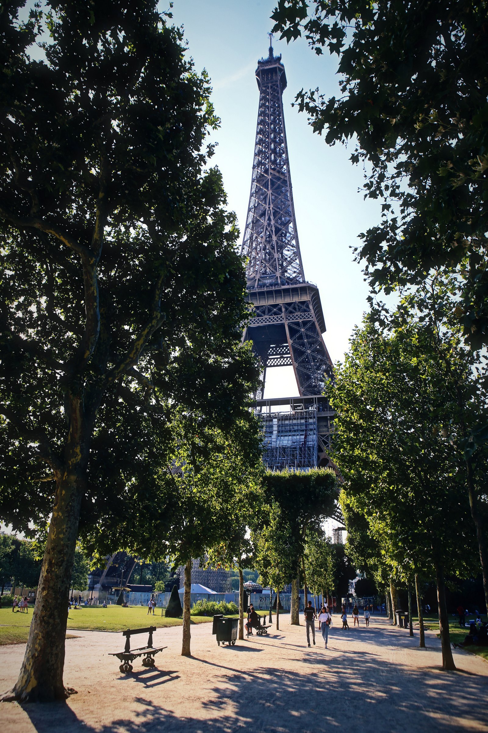 The Eiffel Tower rising through summer trees along a park path.