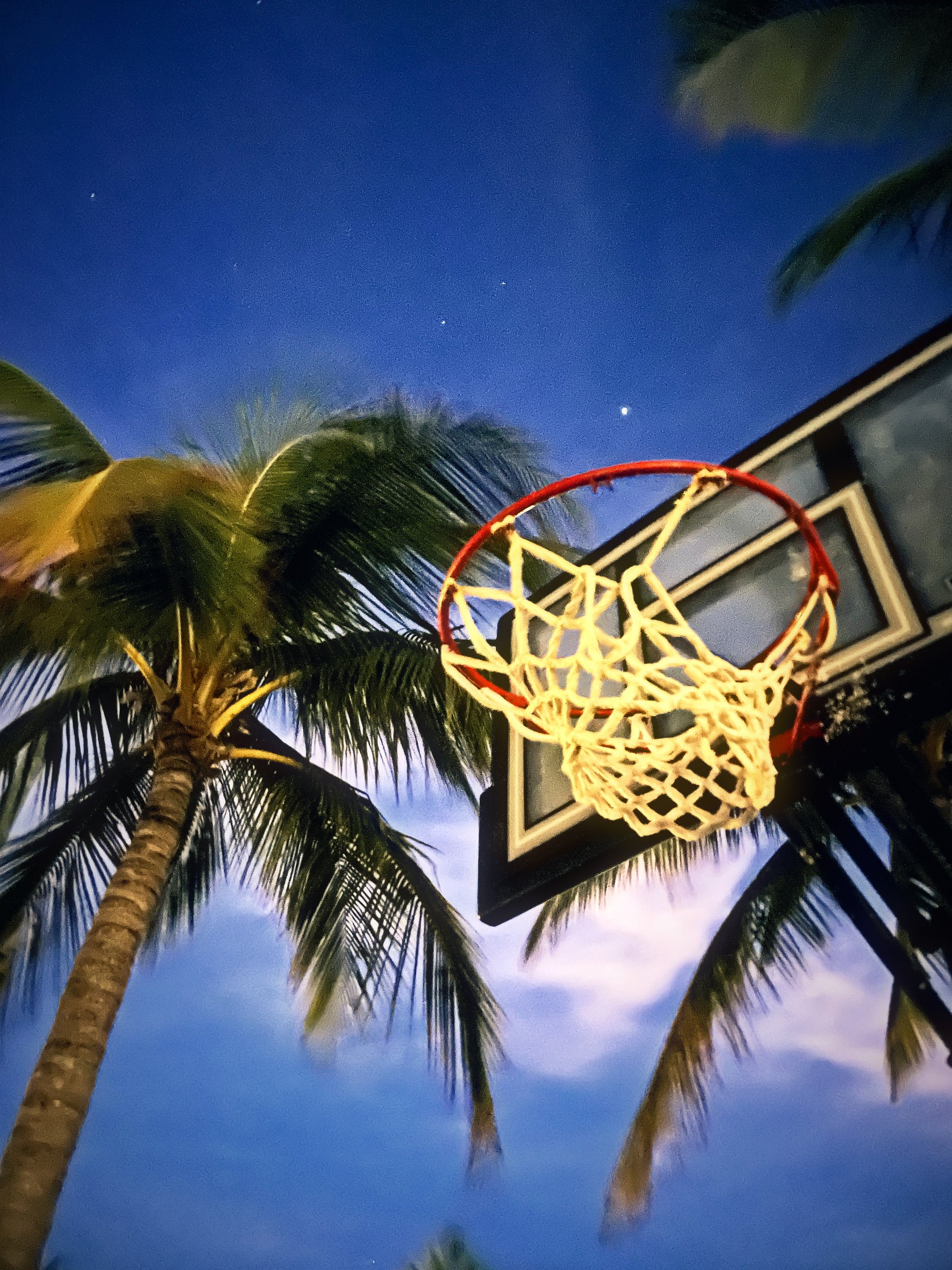 Basketball hoop and leaning palm trees reaching into a blue evening sky.