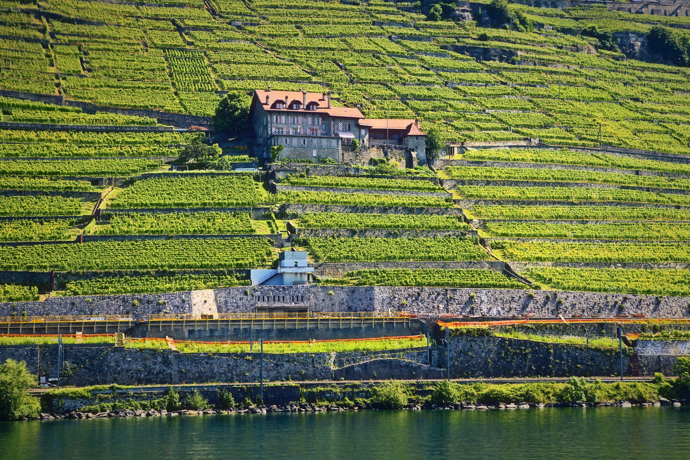 A manor house halfway up a slope of terraced vines, with steps and stone walls below.