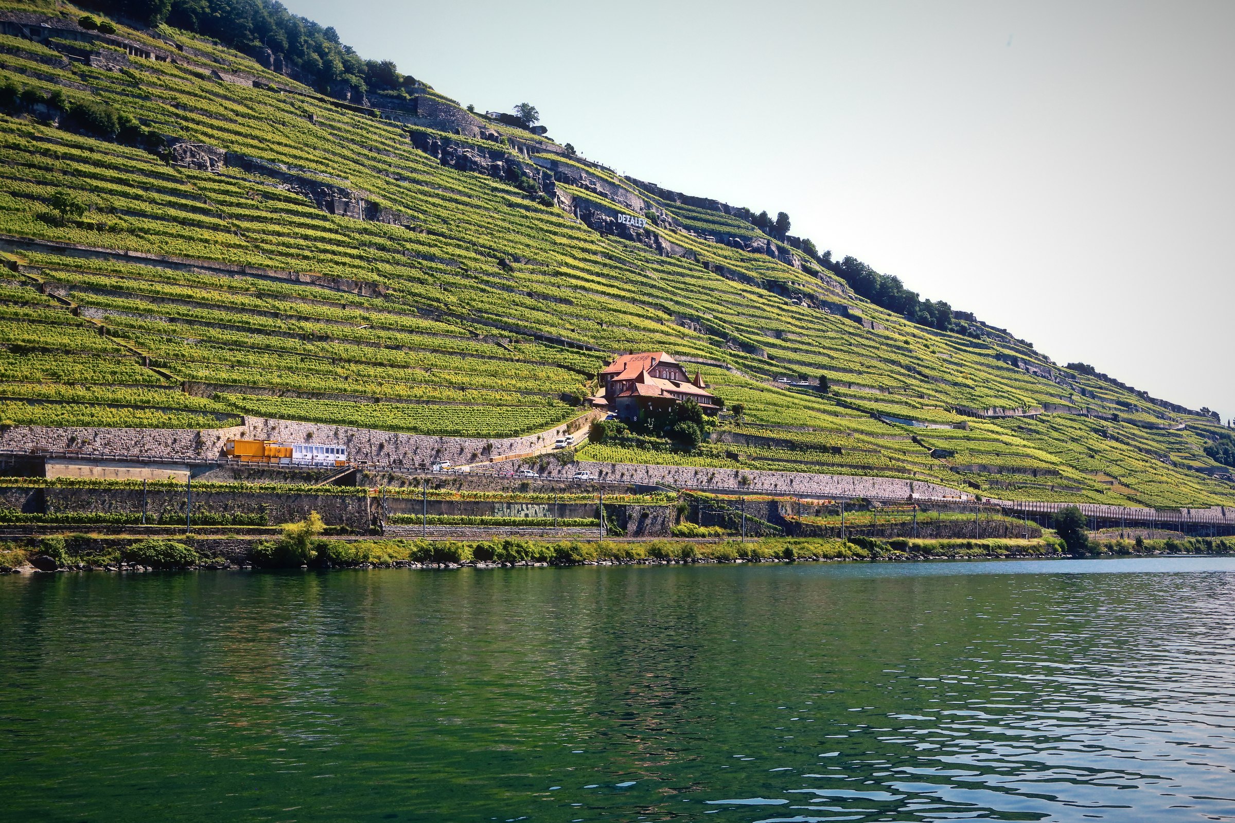 A steep diagonal of vineyard terraces dropping to the lake under a pale sky.