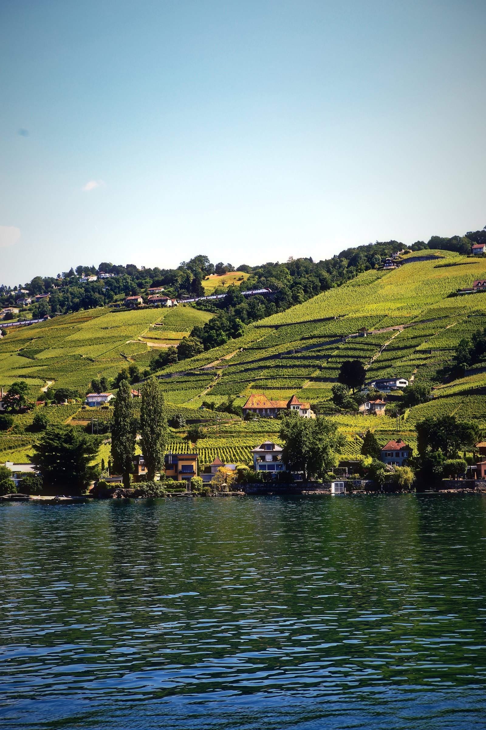 Terraced vineyards rising from blue water toward a bright, open sky.