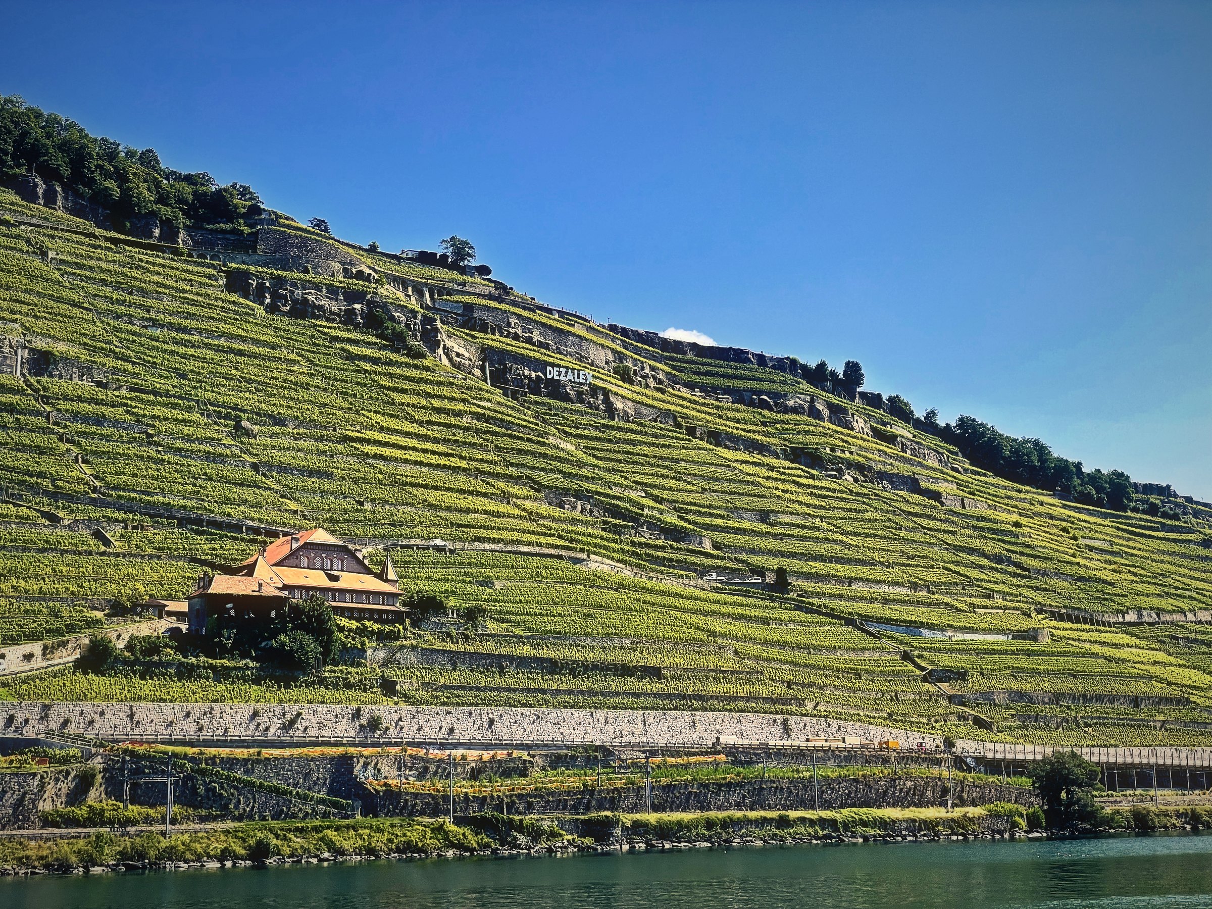 A small cottage on a steep slope of vineyard terraces under a deep blue sky.