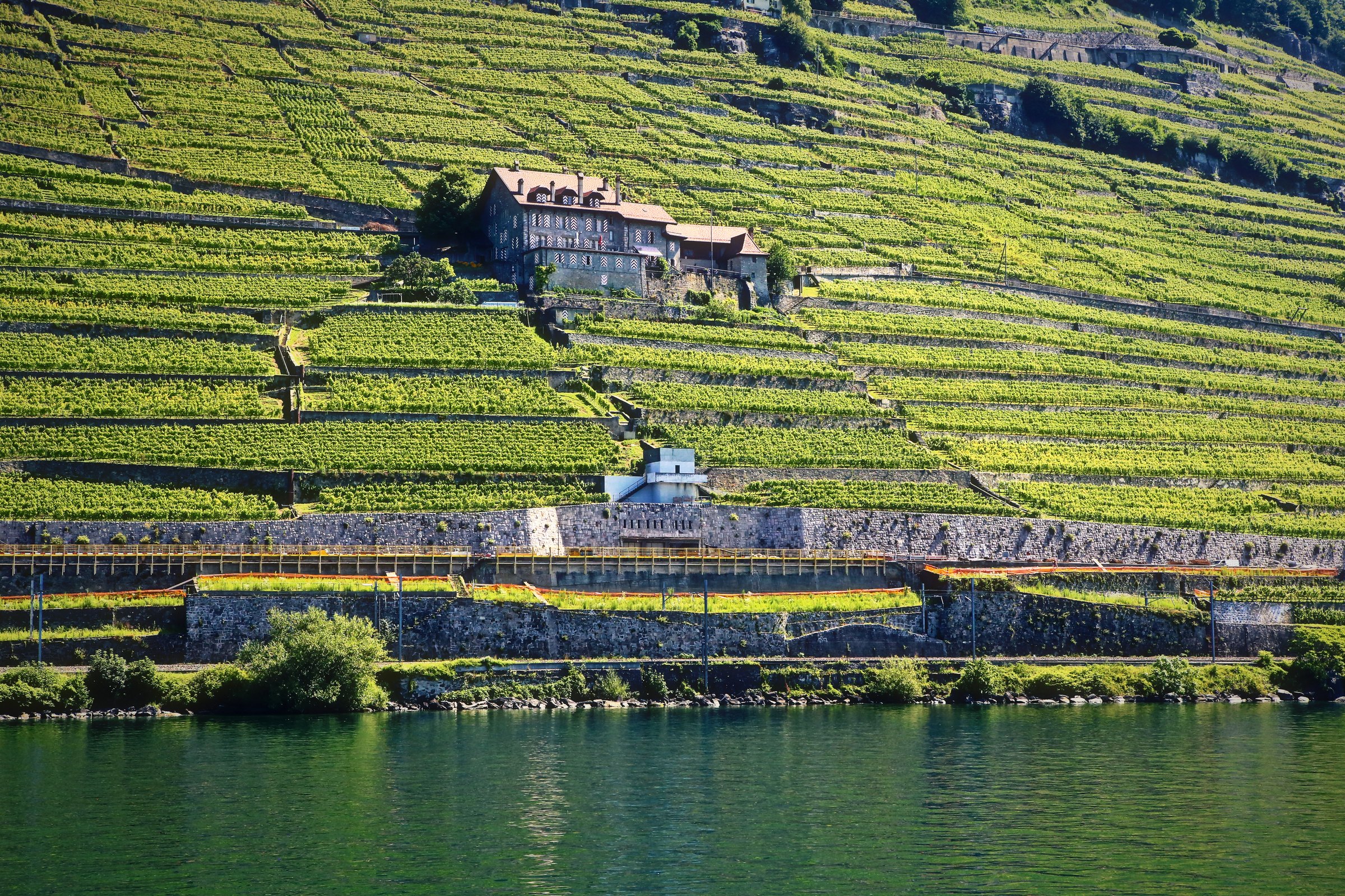 A house perched high among walled vineyard terraces above the lake.