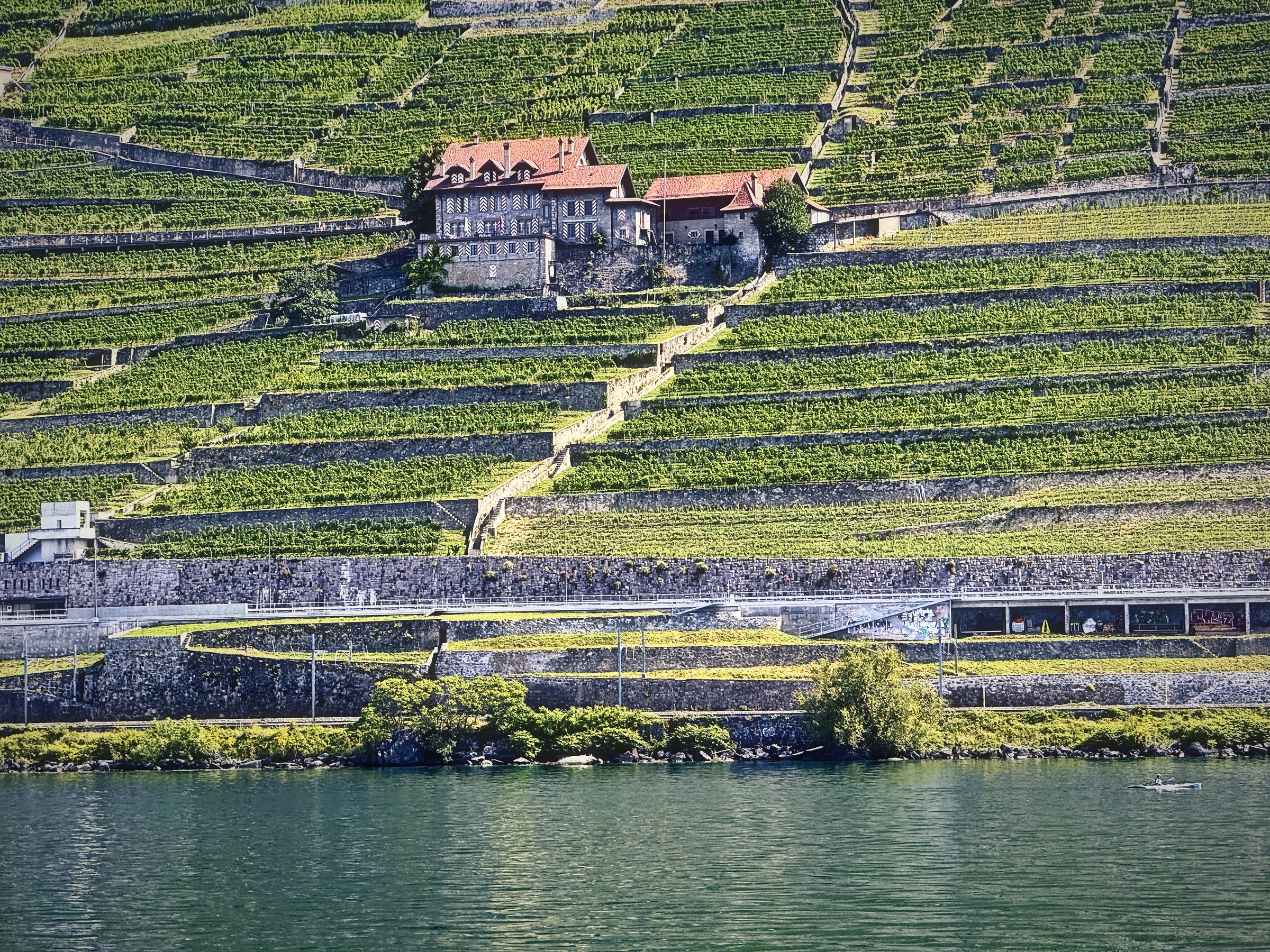 A red-roofed manor with stairs zigzagging down through bright vineyard terraces.