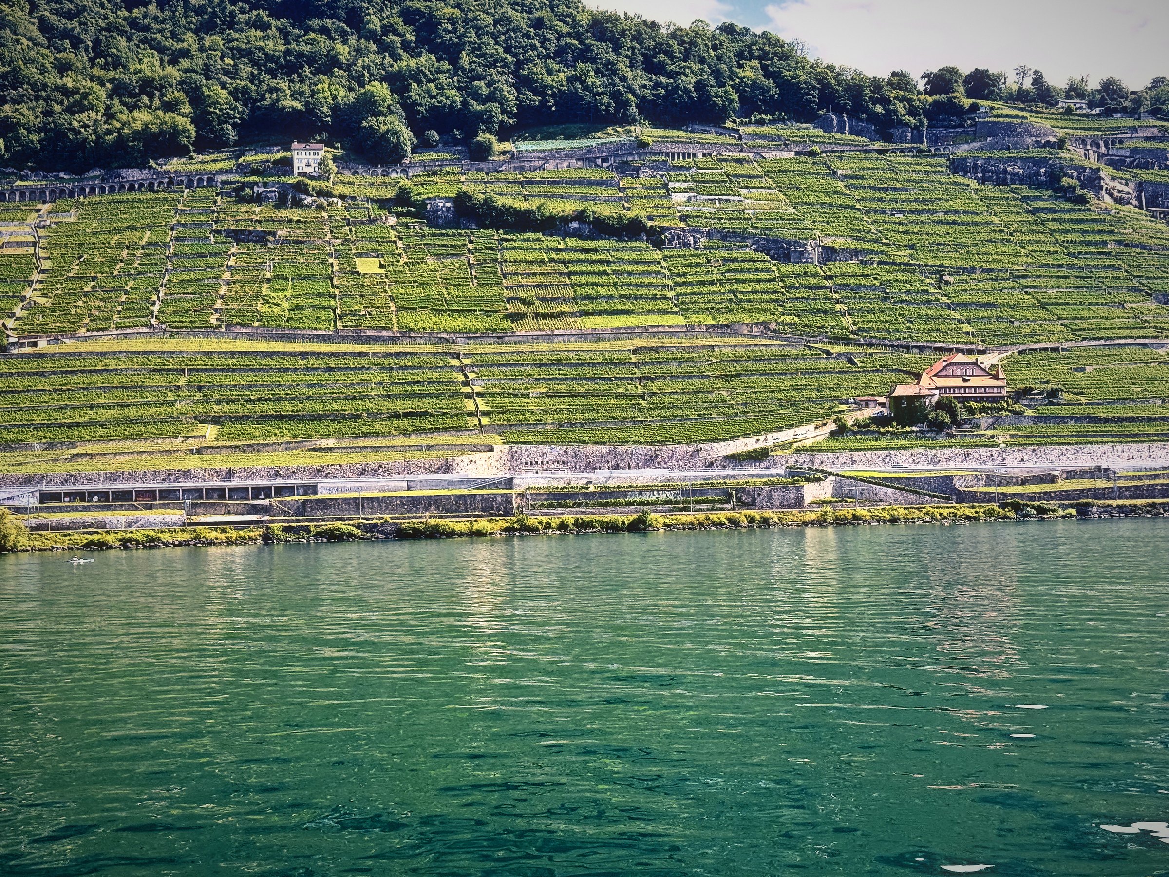 Turquoise lake water at the foot of terraced vineyards and a shoreline wall.