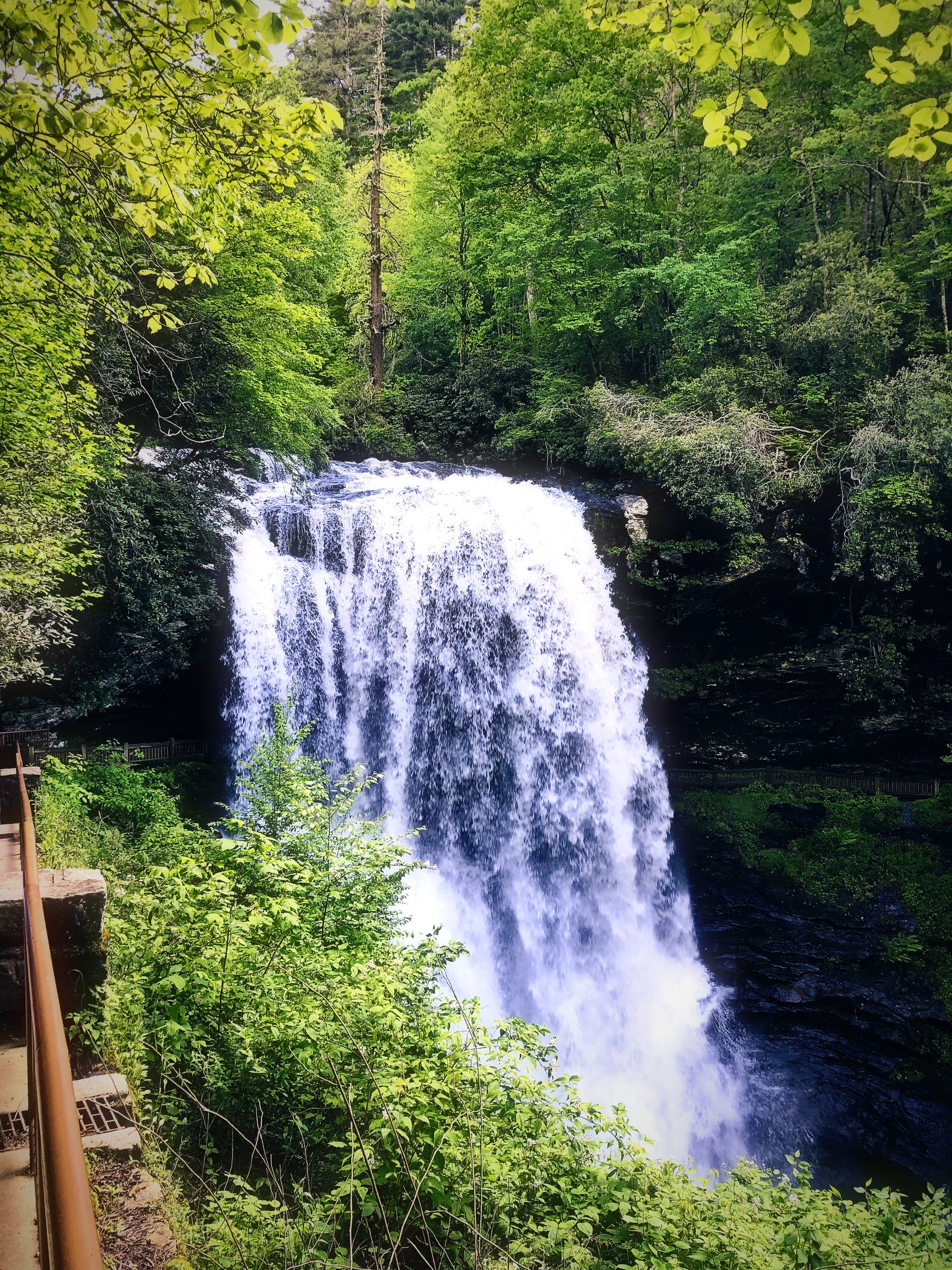A broad waterfall pouring white over a dark ledge into a green Appalachian forest.
