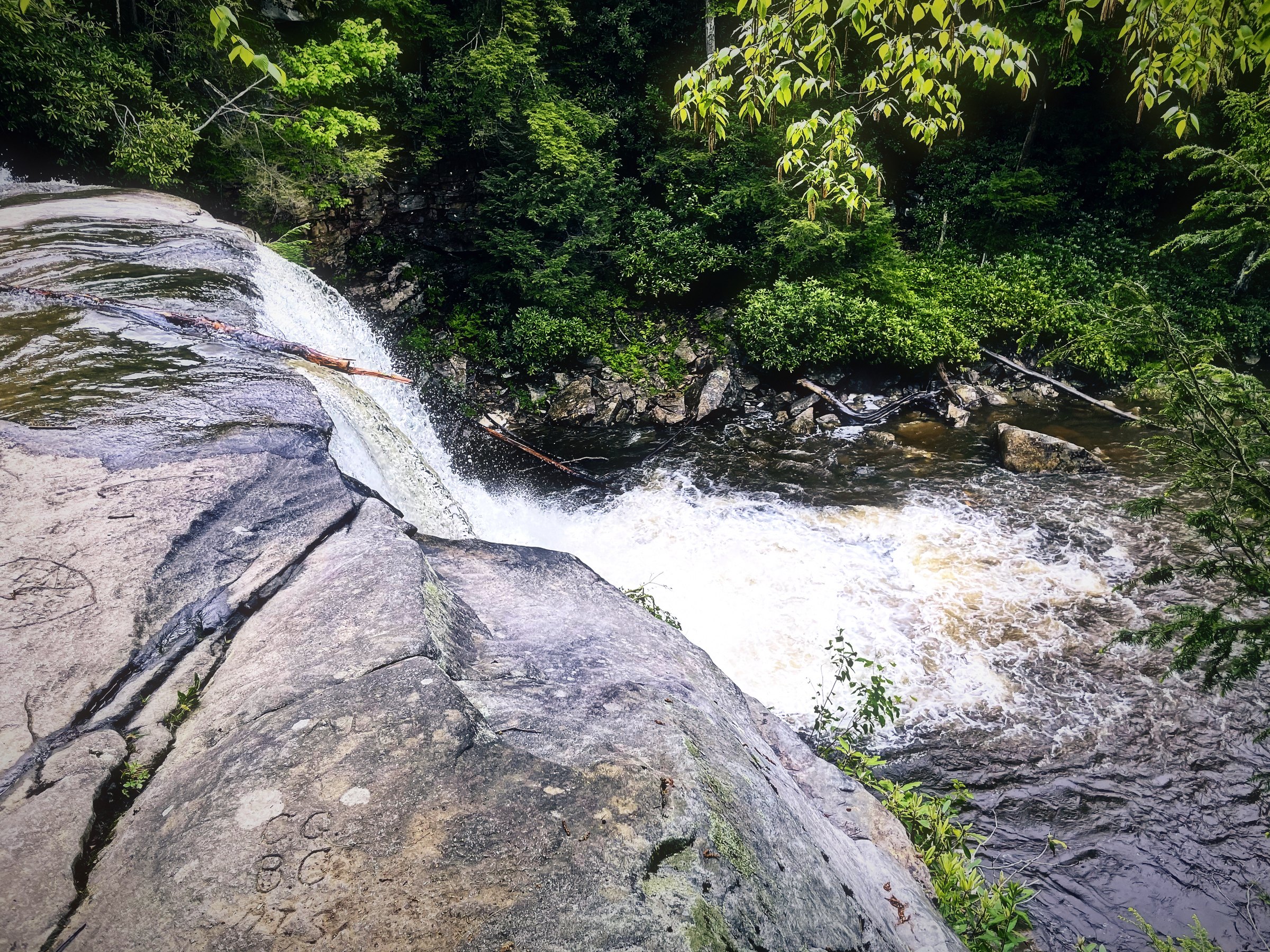 White water sliding over a smooth curved slab of rock into the forest.