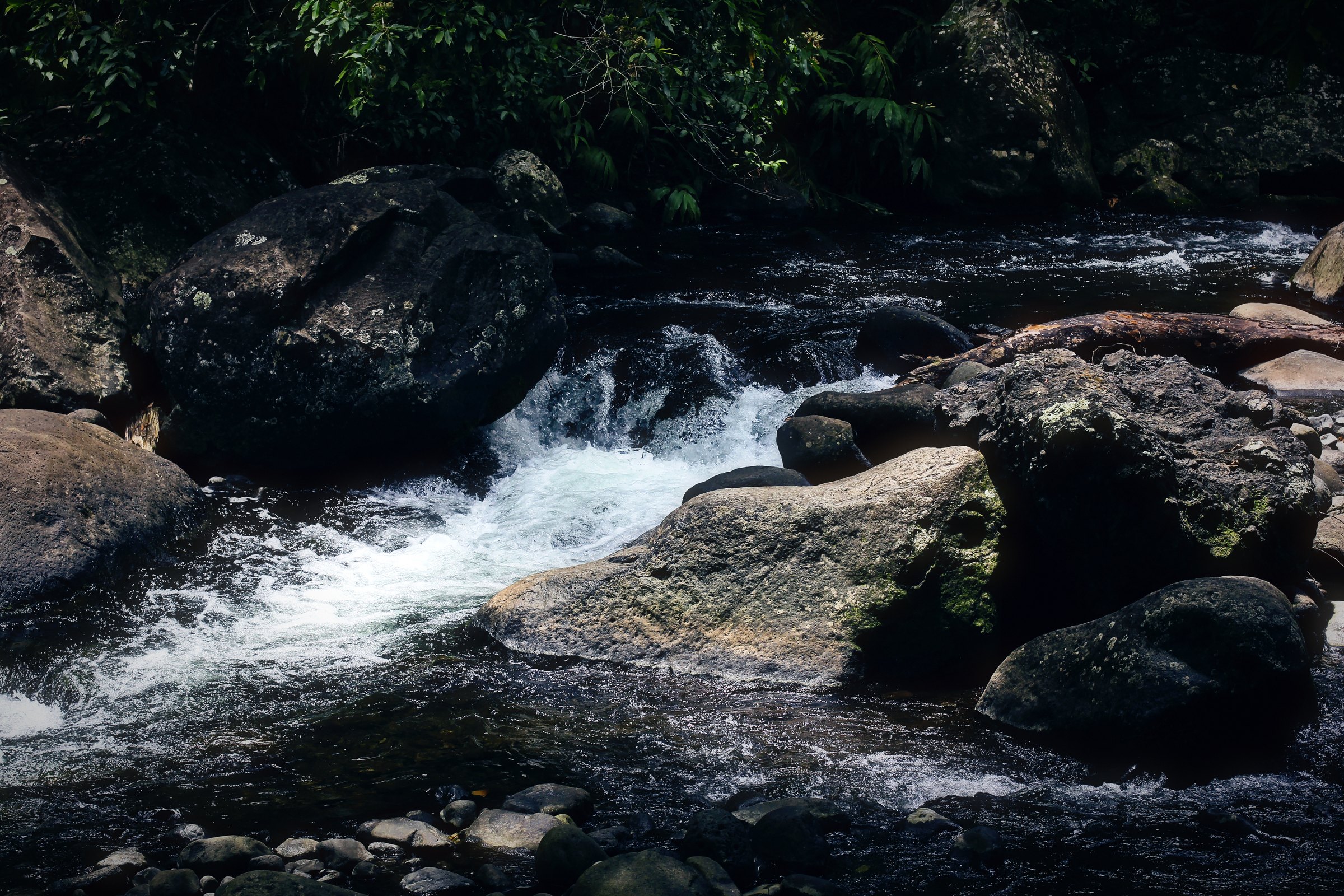 White water spilling through black boulders in a shaded streambed.