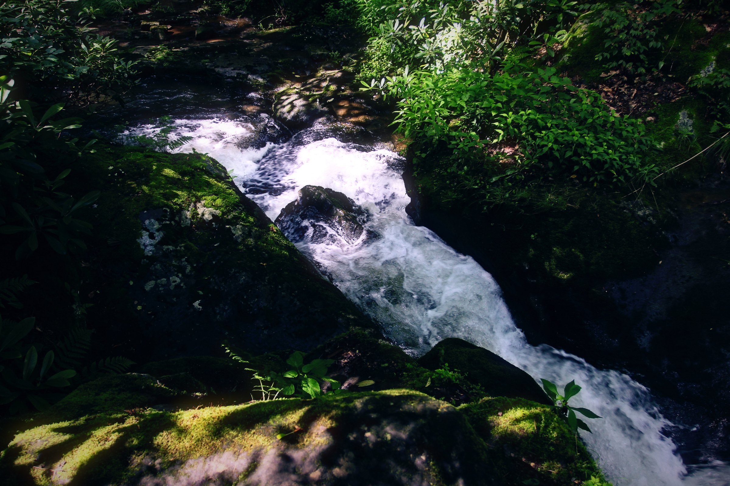 A white cascade rushing down a rocky gully through deep green moss and ferns.