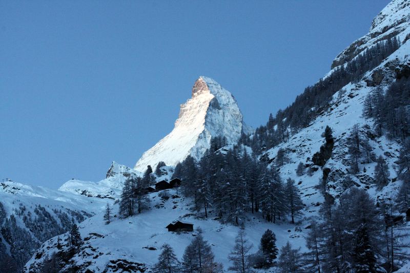 Matterhorn-like peak glowing above snowy pines against blue sky.