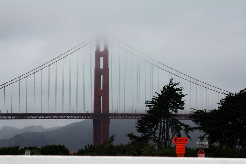 Golden Gate Bridge towers half-hidden in orange fog behind trees.